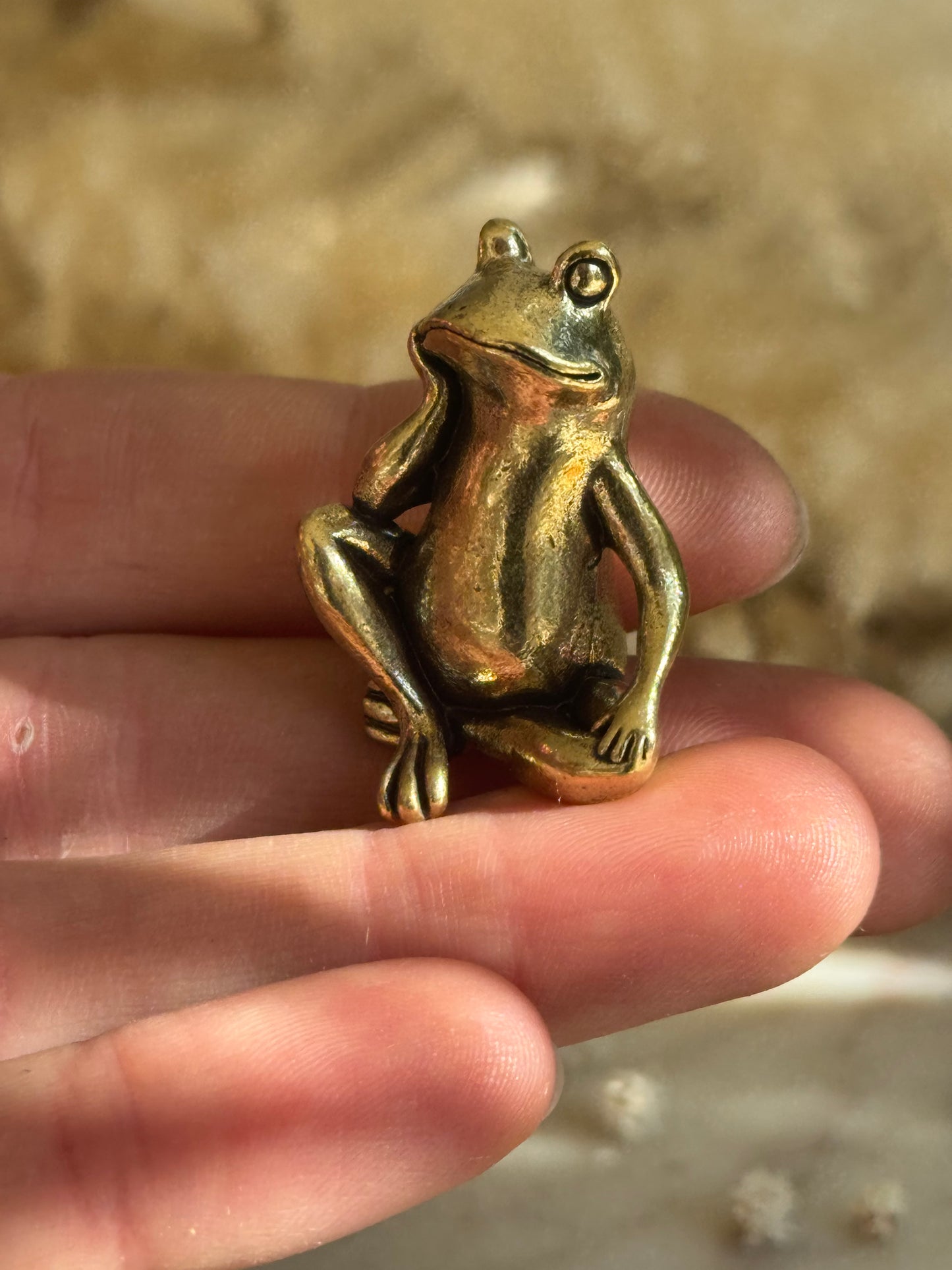 Solid Brass Thinking Frog Figurine – Miniature Sculpture