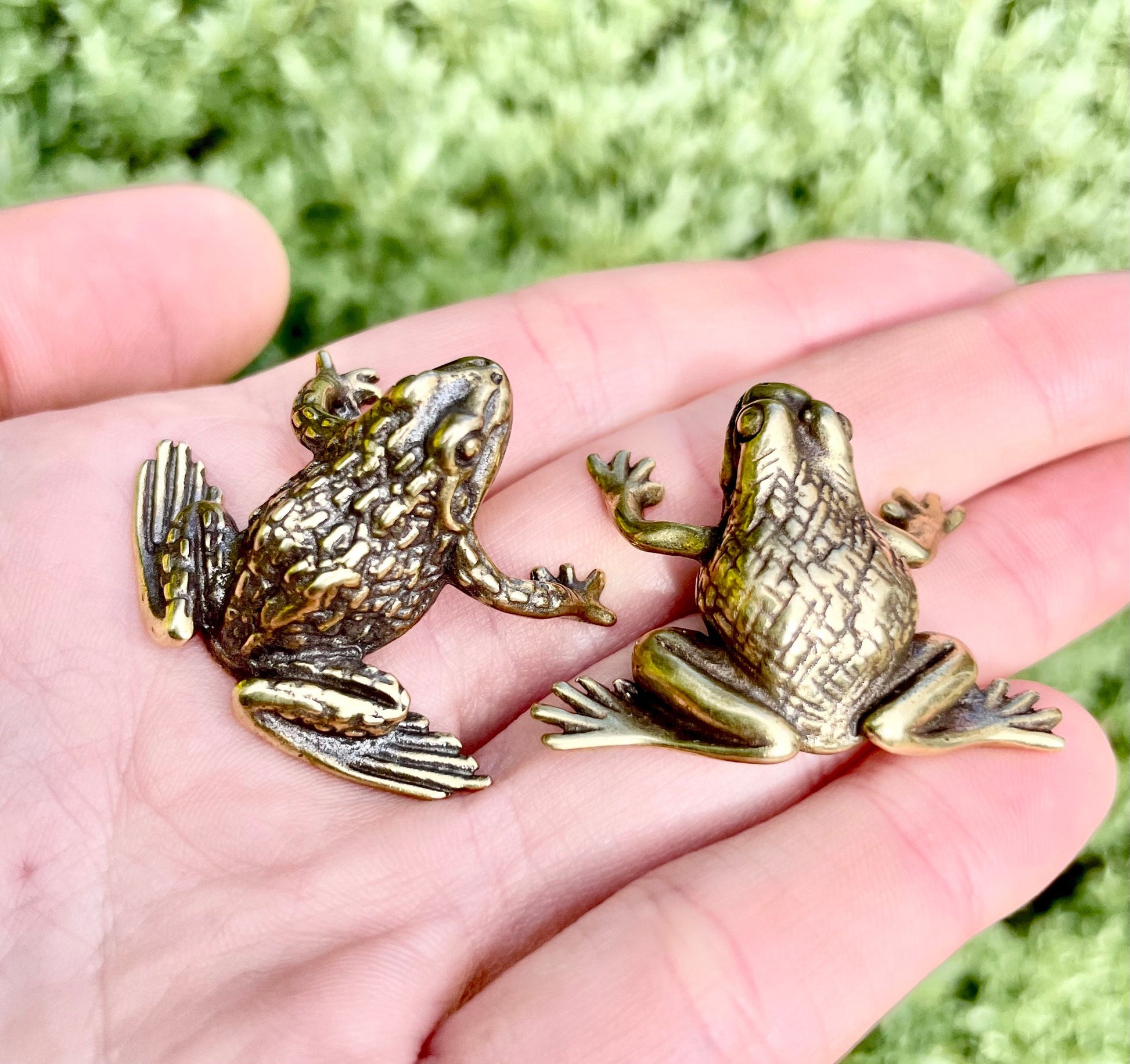 Fine Lifelike Solid Brass Frog figurine, Couple of Frogs Statue, Small Paperweight, Cute collectible figurine, Desk Accessory