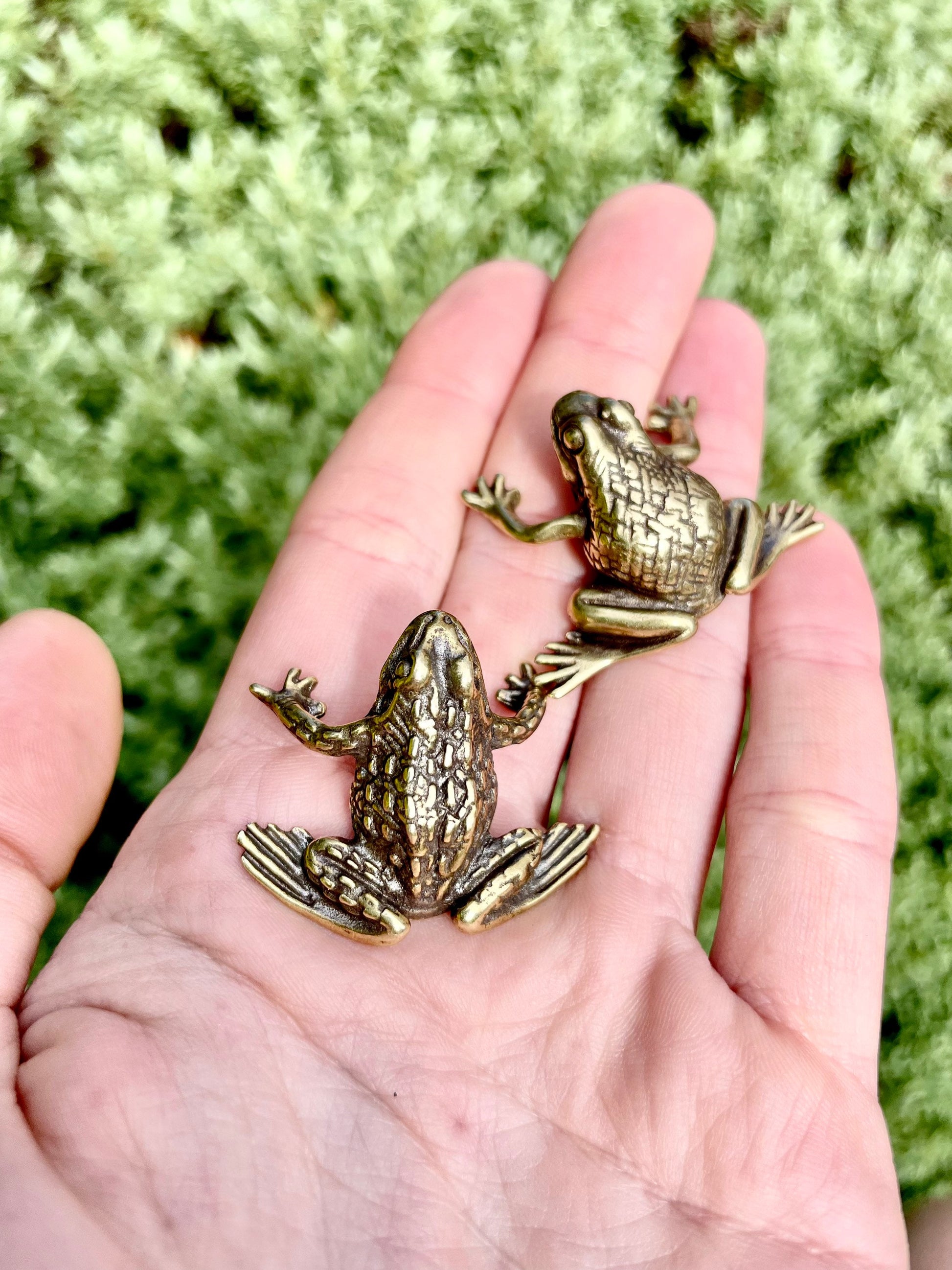 Fine Lifelike Solid Brass Frog figurine, Couple of Frogs Statue, Small Paperweight, Cute collectible figurine, Desk Accessory