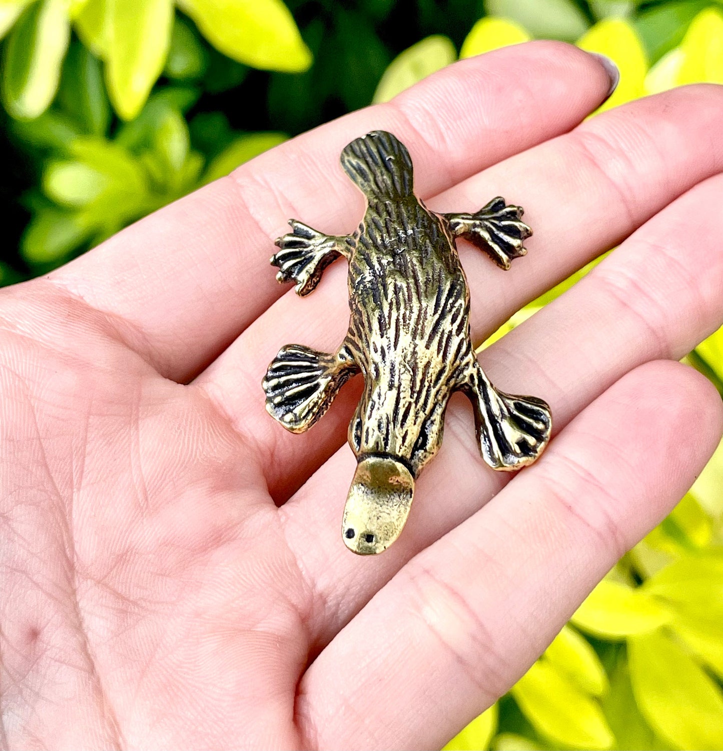 Platypus statuette, fine workmanship, solid brass duckbill figurine, unusual gift, Australian animal figurine, desktop decor