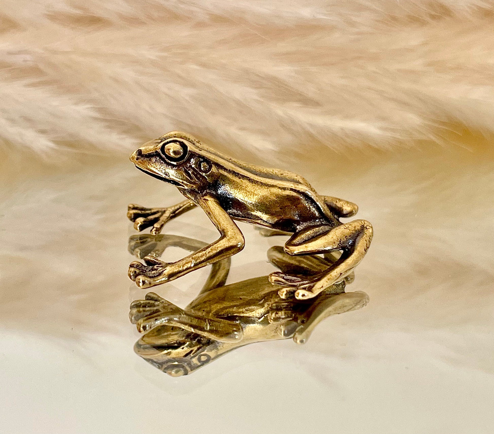 Fine Lifelike Solid Brass Grass tree frog Statue, Small Paperweight, Cute collectible figurine, Desk Accessory