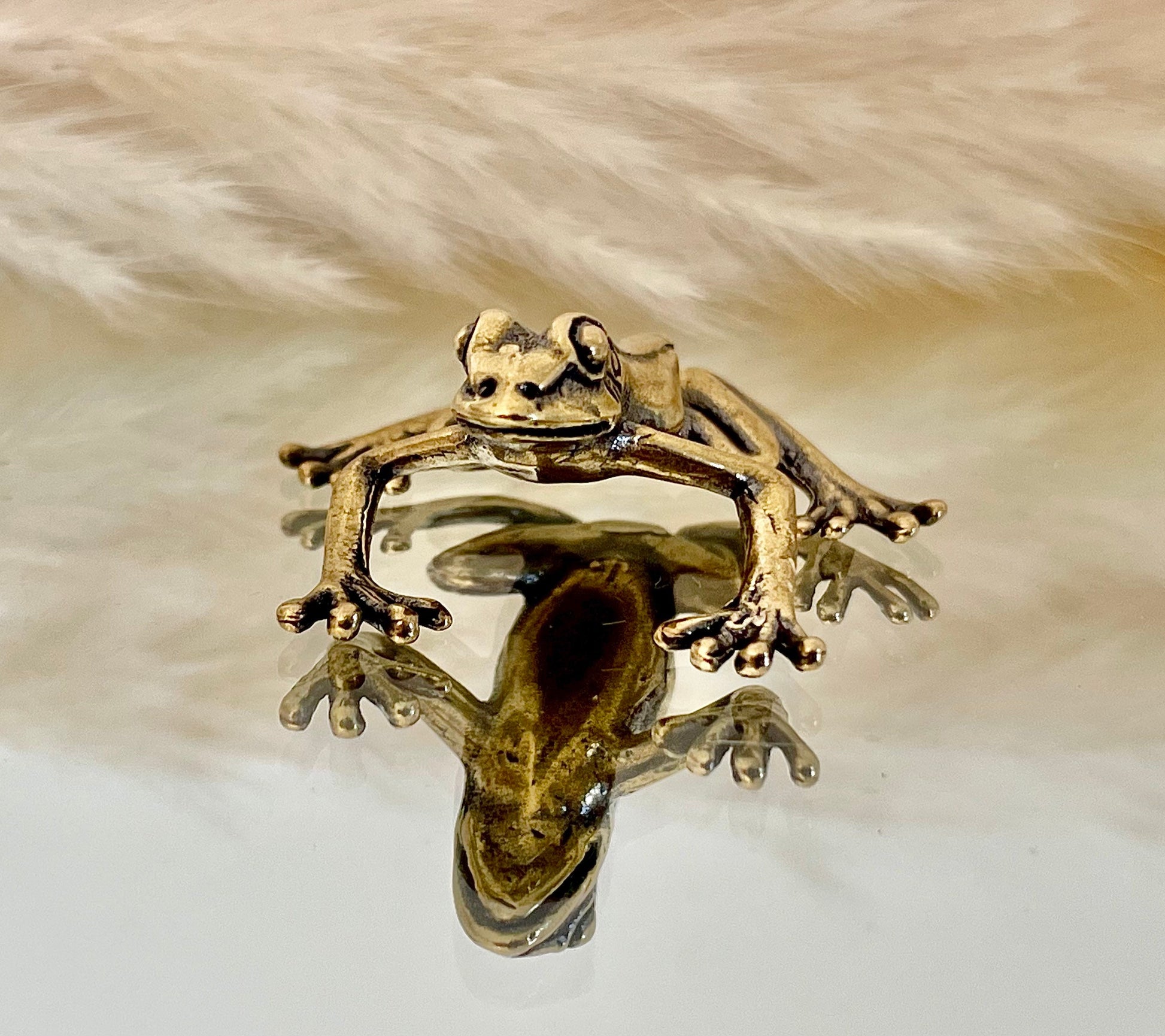 Fine Lifelike Solid Brass Grass tree frog Statue, Small Paperweight, Cute collectible figurine, Desk Accessory