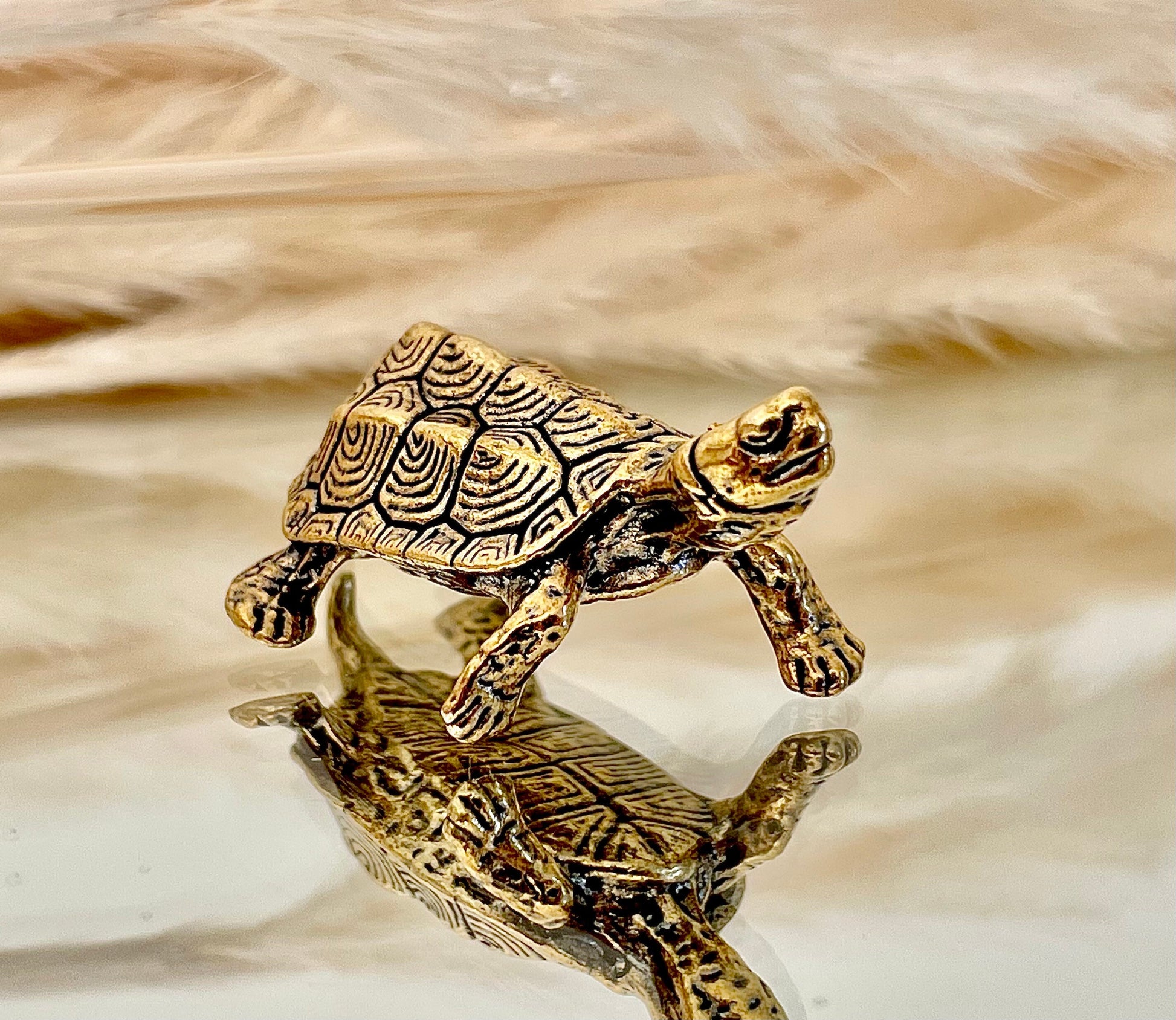Brass Turtle figurine, Fine lifelike solid brass Pond slider figurine, Turtle ornament, Cute little gift, Japanese style statue, Feng Shui