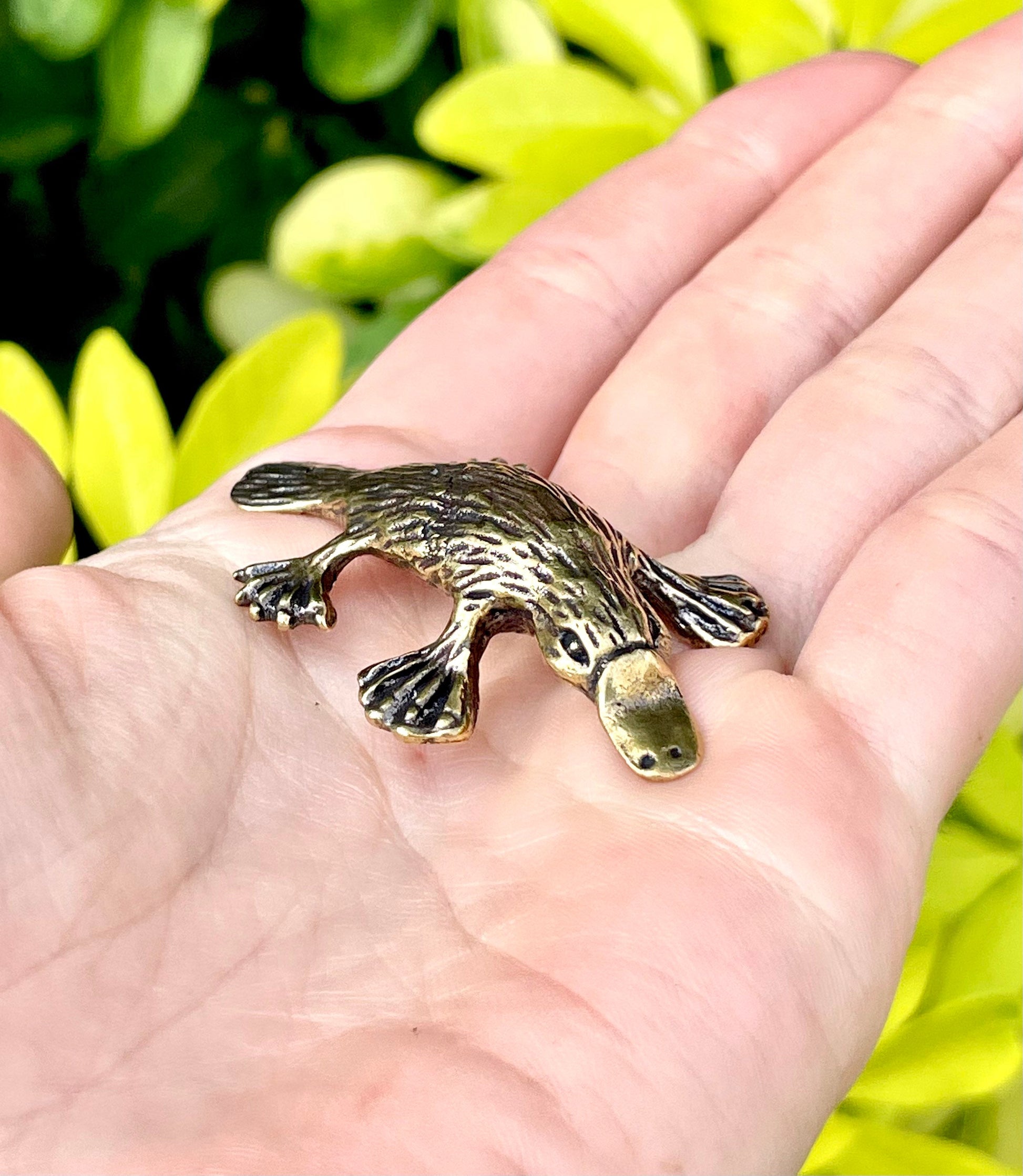 Platypus statuette, fine workmanship, solid brass duckbill figurine, unusual gift, Australian animal figurine, desktop decor