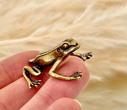 Fine Lifelike Solid Brass Grass tree frog Statue, Small Paperweight, Cute collectible figurine, Desk Accessory