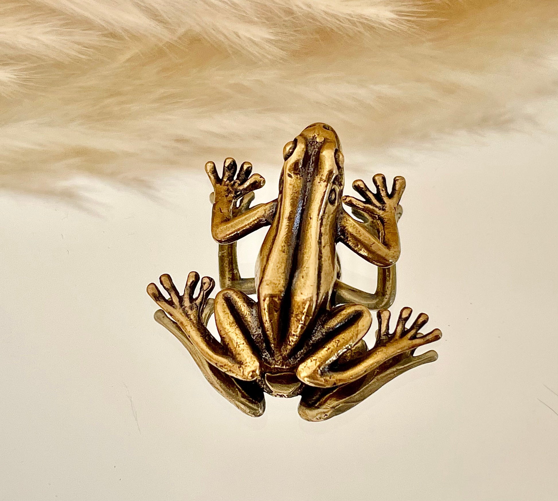 Fine Lifelike Solid Brass Grass tree frog Statue, Small Paperweight, Cute collectible figurine, Desk Accessory