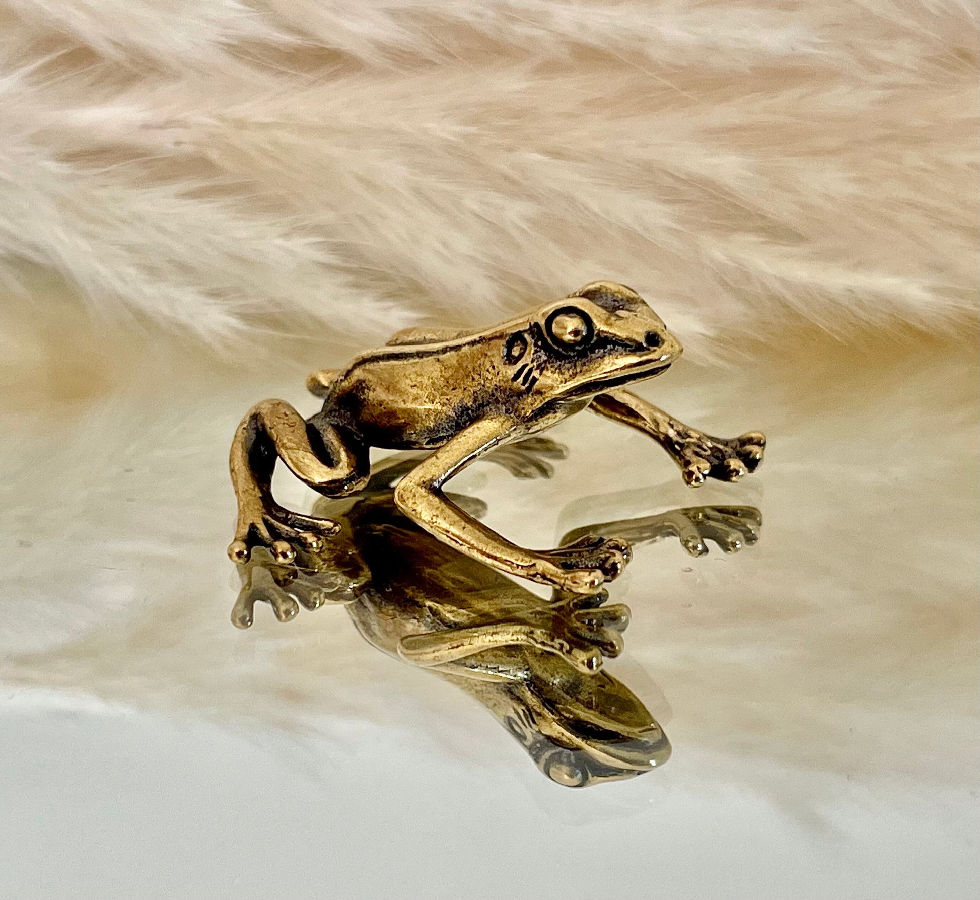 Fine Lifelike Solid Brass Grass tree frog Statue, Small Paperweight, Cute collectible figurine, Desk Accessory