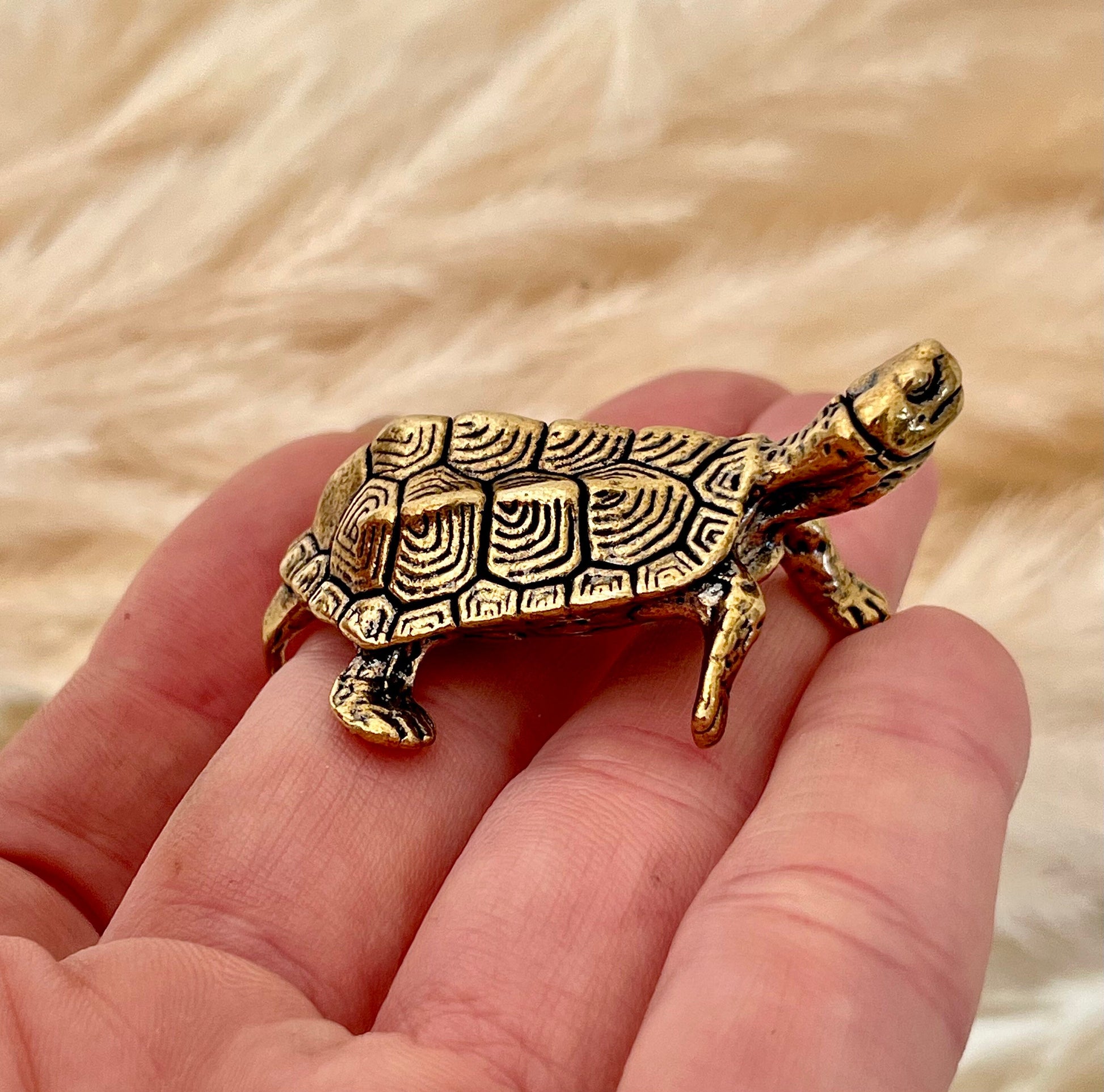 Brass Turtle figurine, Fine lifelike solid brass Pond slider figurine, Turtle ornament, Cute little gift, Japanese style statue, Feng Shui