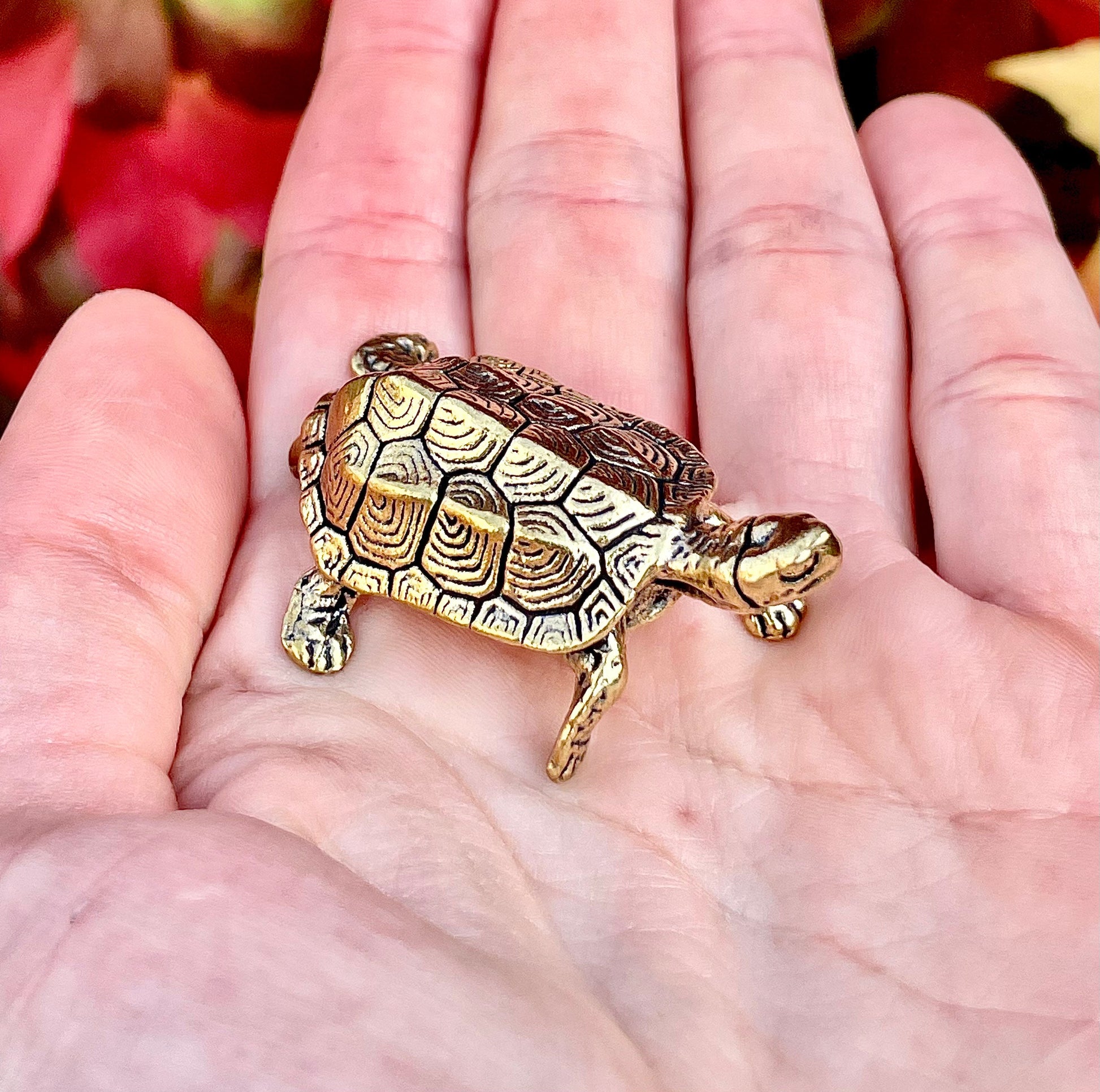 Brass Turtle figurine, Fine lifelike solid brass Pond slider figurine, Turtle ornament, Cute little gift, Japanese style statue, Feng Shui