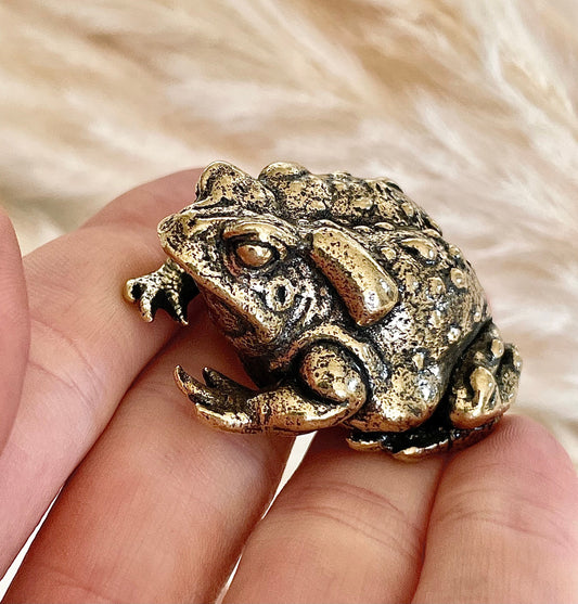 Common toad, lifelike Copper Cast, Solid brass figurine, Lost Wax Casting, Metal Artwork, Creative gift, Paperweight, Desktop ornament