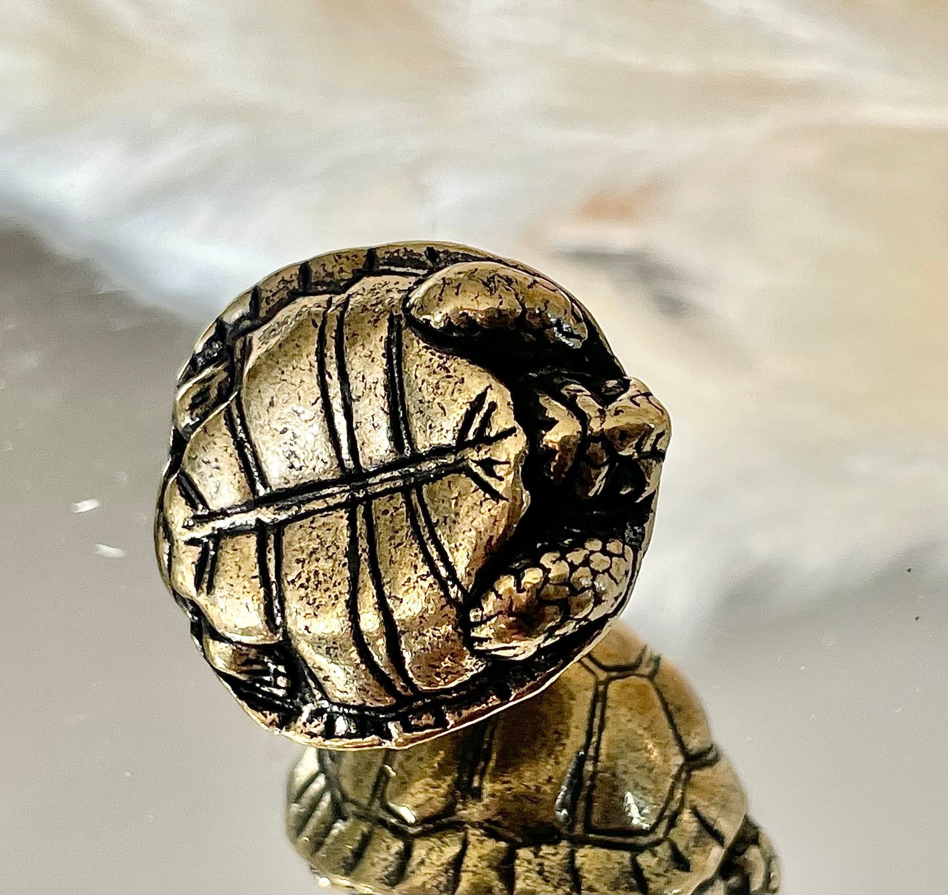 Brass tortoise figurine, solid brass casting, reptile figurine, creative paperweight, brass plant decor, cute gift