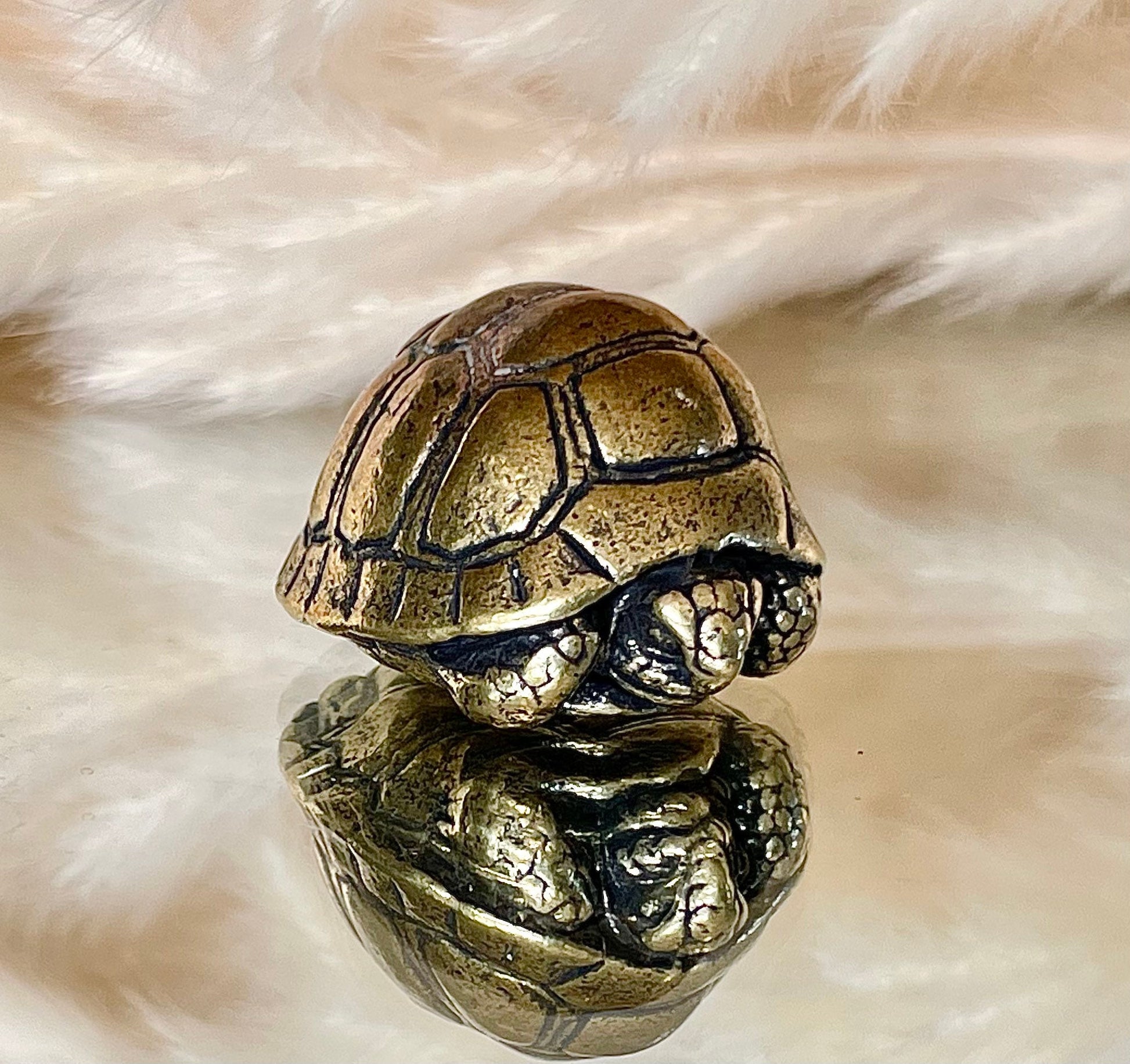 Brass tortoise figurine, solid brass casting, reptile figurine, creative paperweight, brass plant decor, cute gift