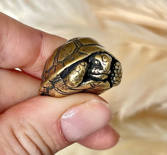Brass tortoise figurine, solid brass casting, reptile figurine, creative paperweight, brass plant decor, cute gift
