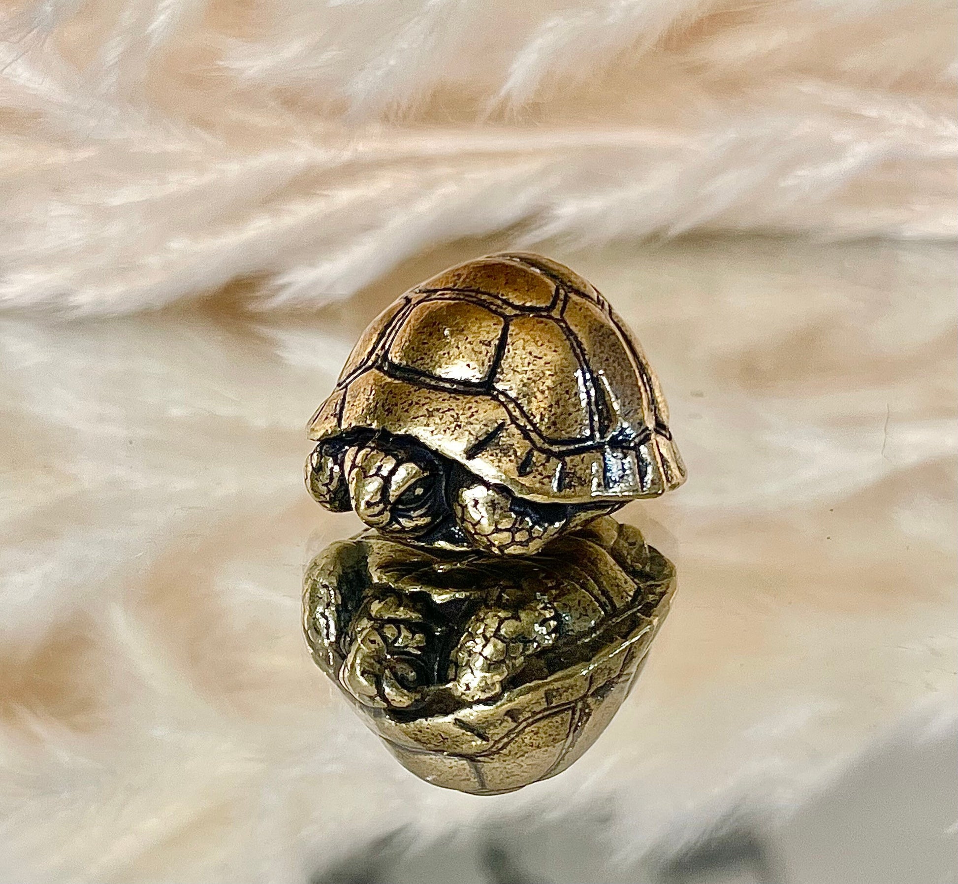 Brass tortoise figurine, solid brass casting, reptile figurine, creative paperweight, brass plant decor, cute gift