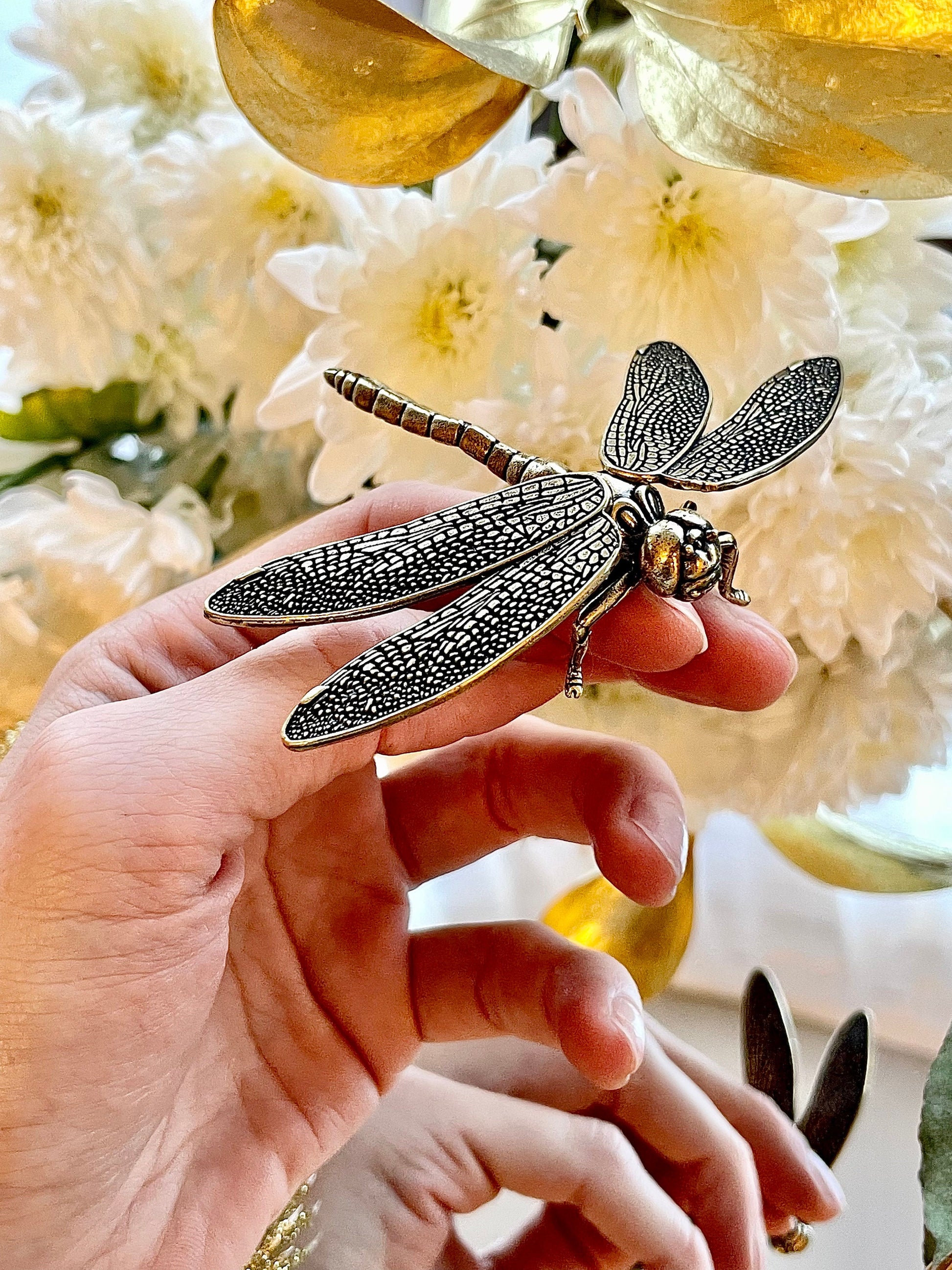 Creative Dragonfly Plant Pot Decoration, dragonfly figurine, Solid Brass, removable wings, creative Cool gift, Insect club
