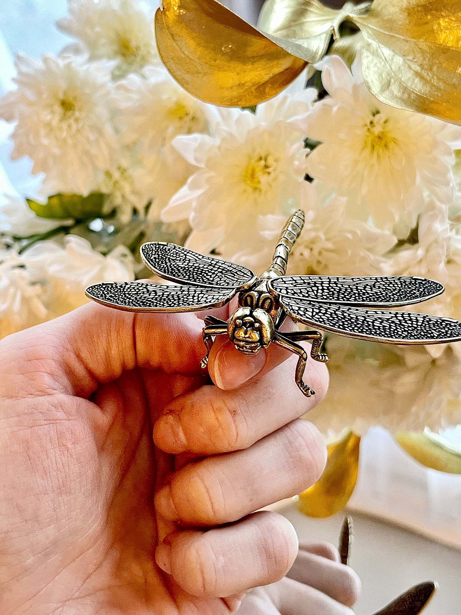 Creative Dragonfly Plant Pot Decoration, dragonfly figurine, Solid Brass, removable wings, creative Cool gift, Insect club
