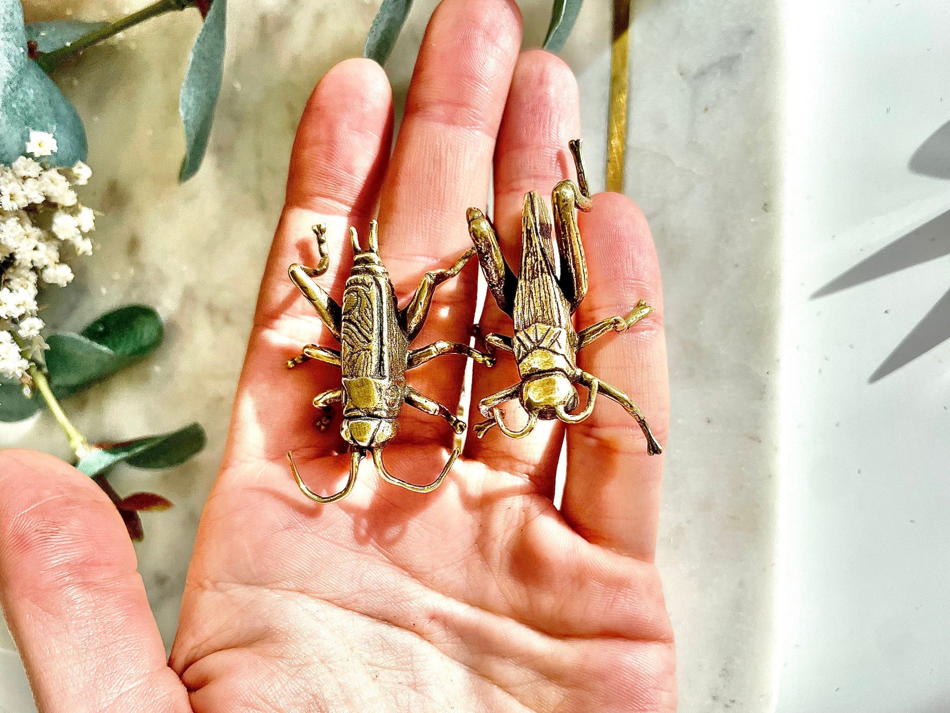 Fine lifelike Solid brass buzzing grasshopper figurine, Cricket Miniature, insect gift