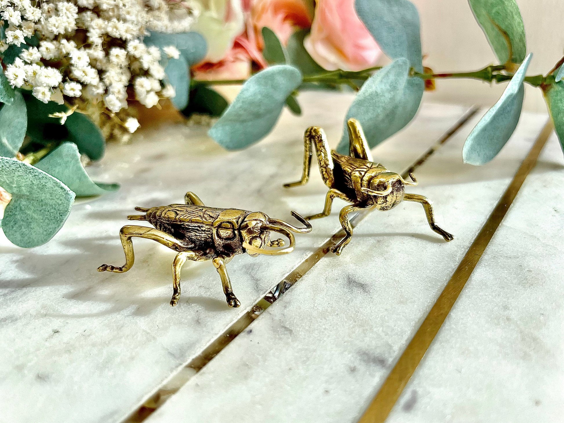 Fine lifelike Solid brass buzzing grasshopper figurine, Cricket Miniature, insect gift