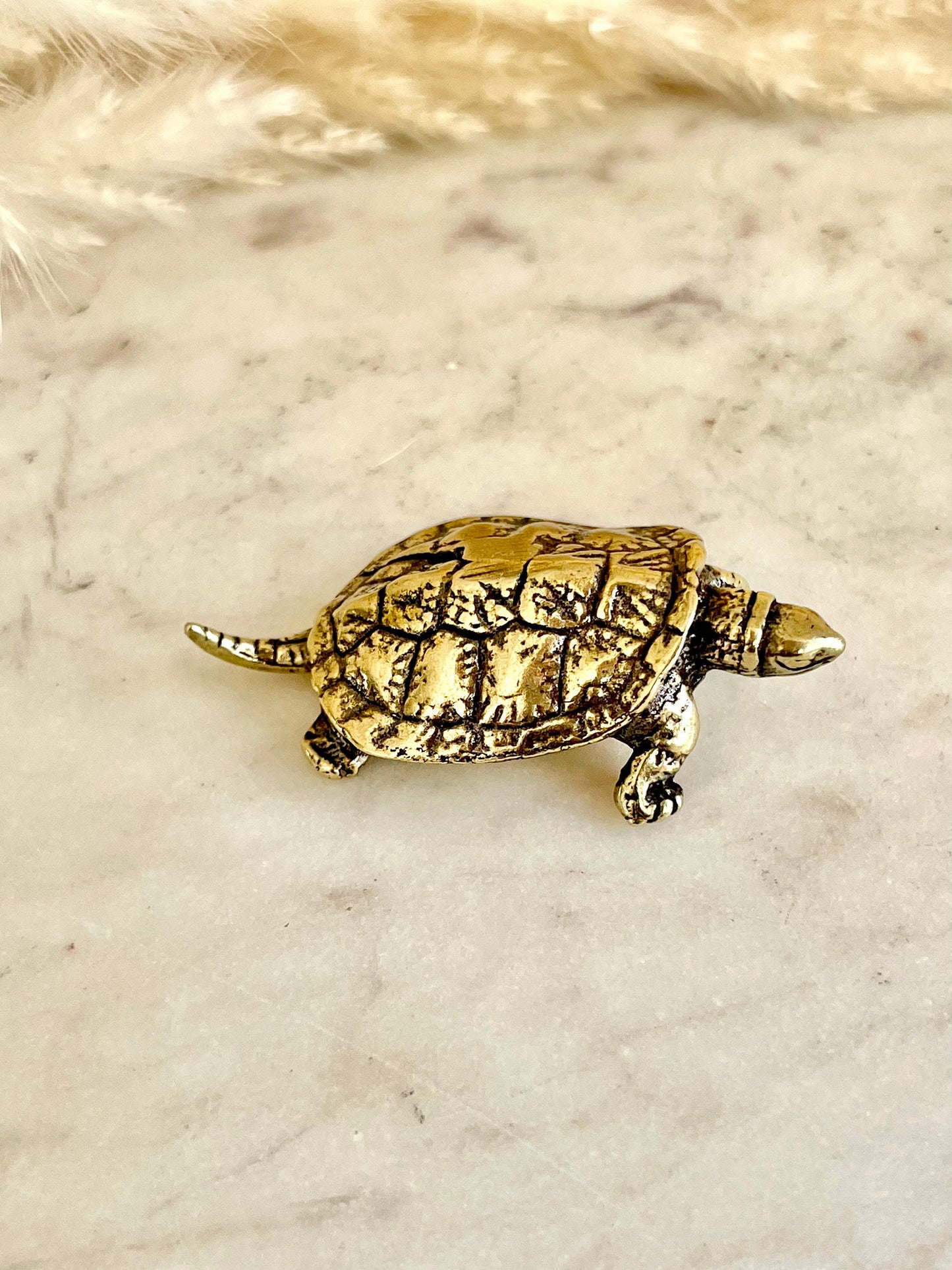 Brass Turtle figurine, Fine lifelike solid brass Pond slider figurine, Turtle ornament, Cute little gift, Japanese style statue, Feng Shui
