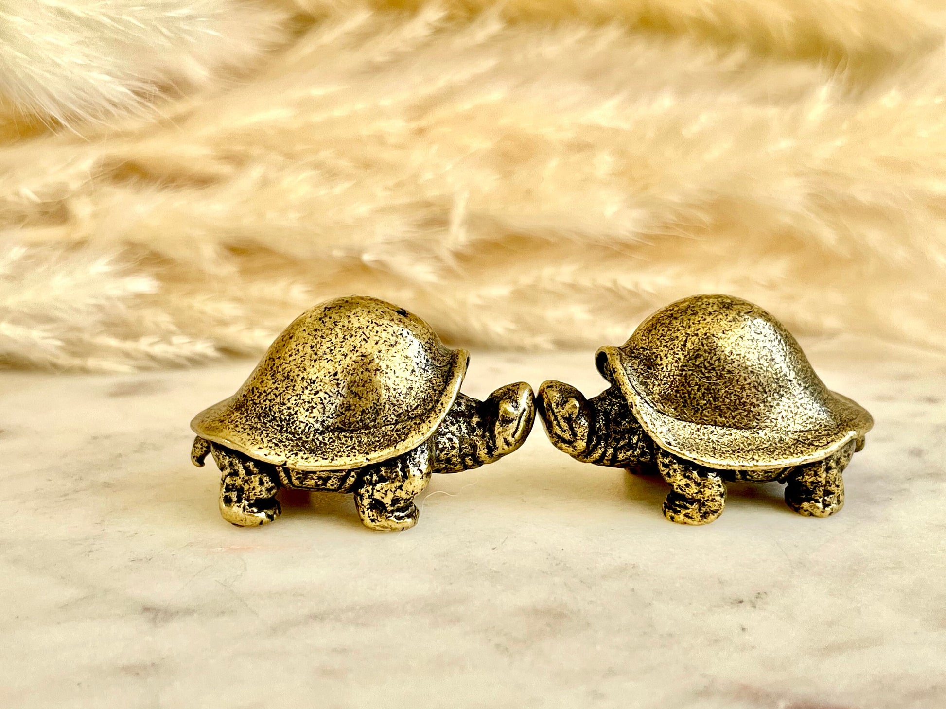 Solid Brass Feng Shui Turtle Statue: Functional and Decorative Lifelike Addition to Your Home or Office"
