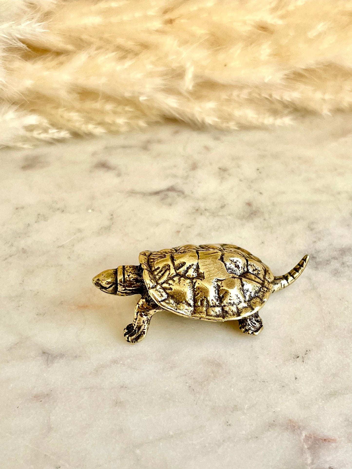 Brass Turtle figurine, Fine lifelike solid brass Pond slider figurine, Turtle ornament, Cute little gift, Japanese style statue, Feng Shui