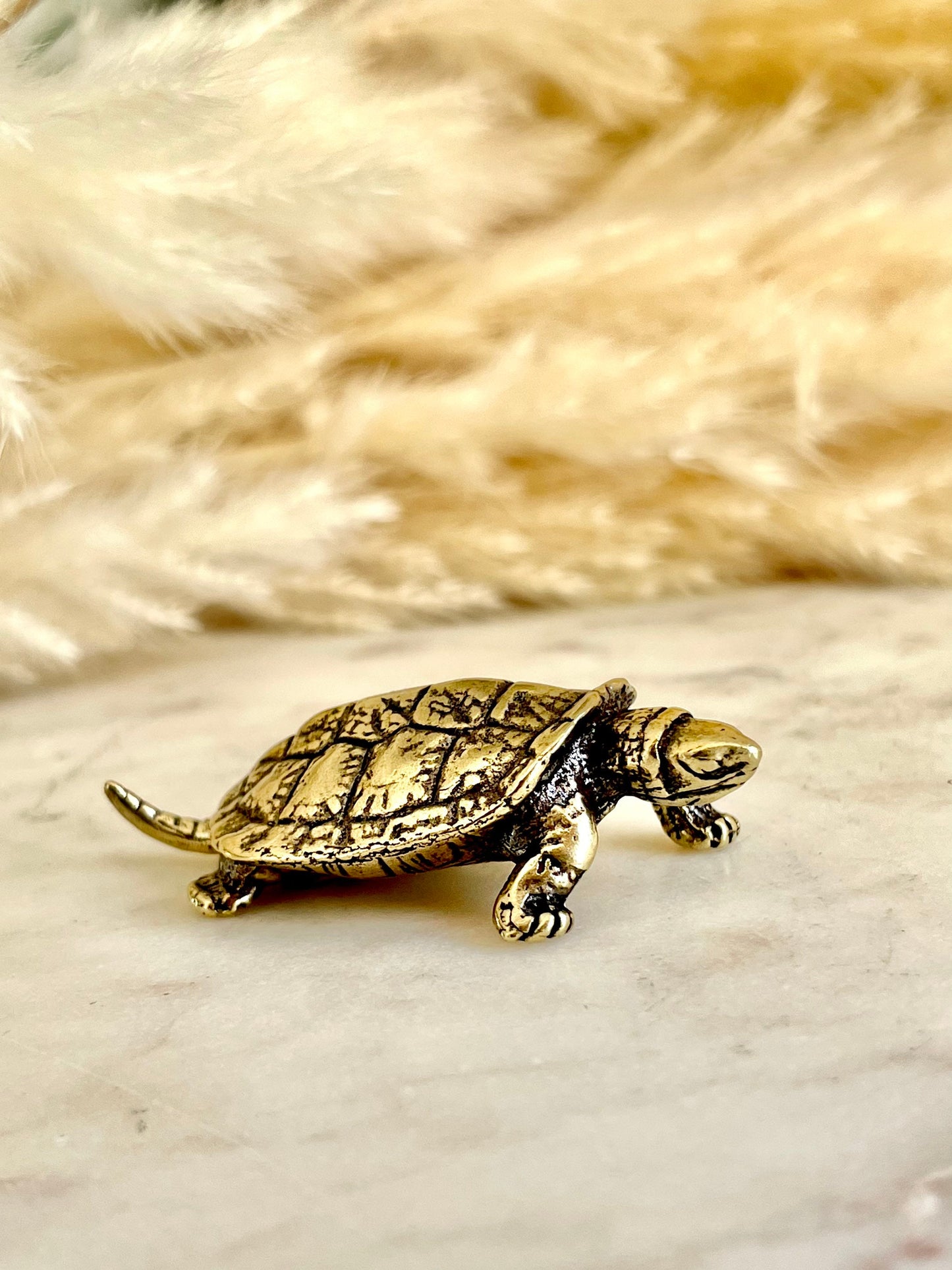 Brass Turtle figurine, Fine lifelike solid brass Pond slider figurine, Turtle ornament, Cute little gift, Japanese style statue, Feng Shui