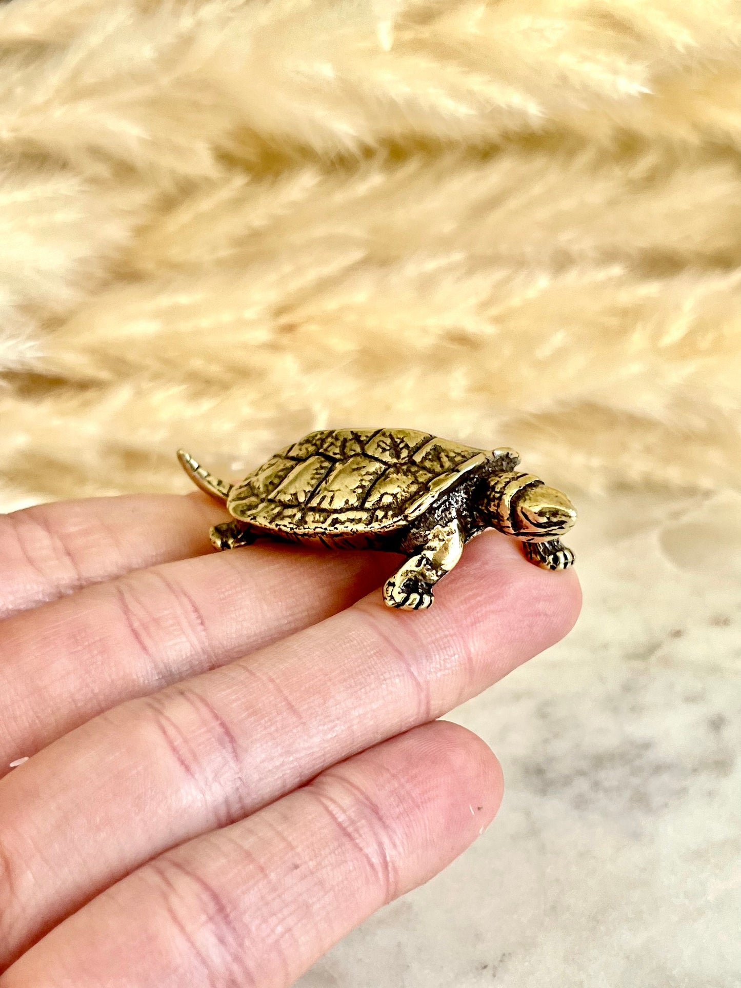 Brass Turtle figurine, Fine lifelike solid brass Pond slider figurine, Turtle ornament, Cute little gift, Japanese style statue, Feng Shui