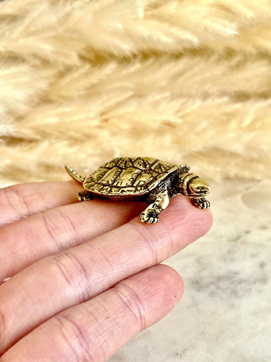 Brass Turtle figurine, Fine lifelike solid brass Pond slider figurine, Turtle ornament, Cute little gift, Japanese style statue, Feng Shui
