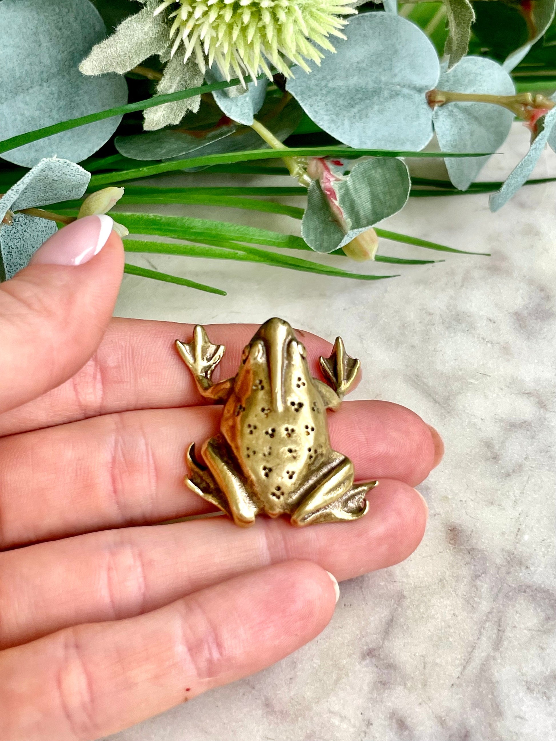Fine Solid Brass Happy Frog figurine, Big Frog Statue, Small Paperweight, Cute collectible figurine, Frog plant Accessory