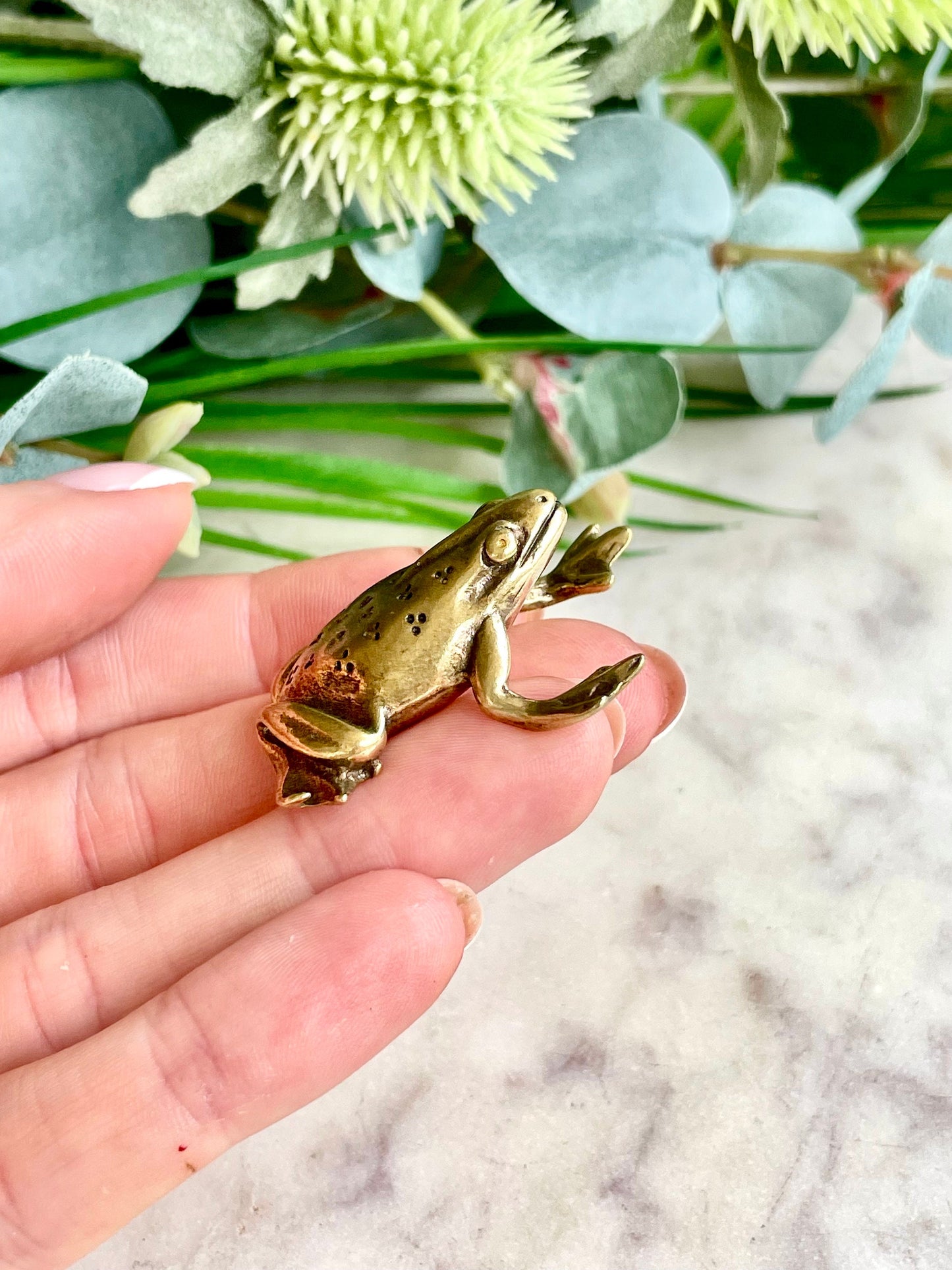 Fine Solid Brass Happy Frog figurine, Big Frog Statue, Small Paperweight, Cute collectible figurine, Frog plant Accessory