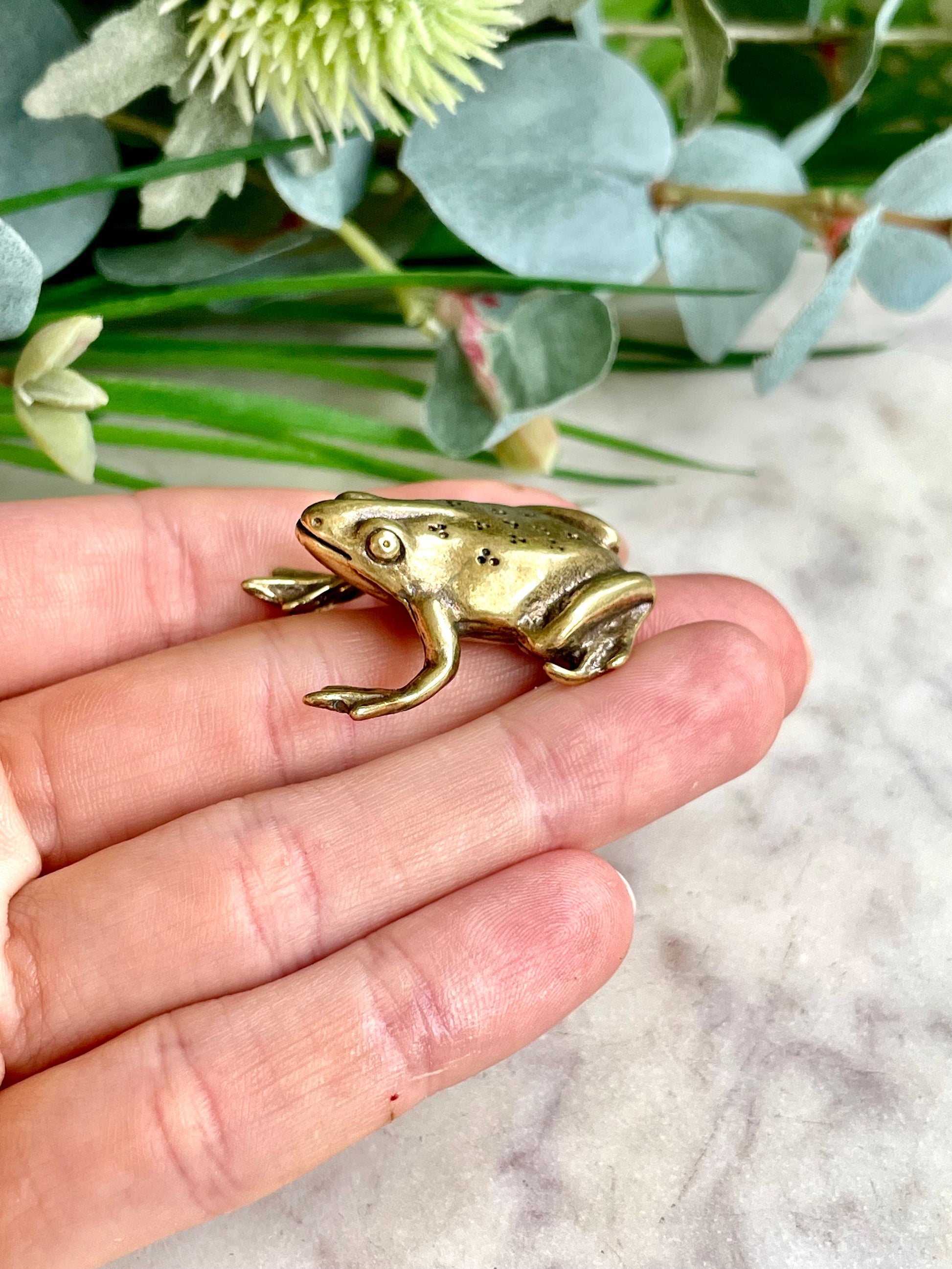 Fine Solid Brass Happy Frog figurine, Big Frog Statue, Small Paperweight, Cute collectible figurine, Frog plant Accessory
