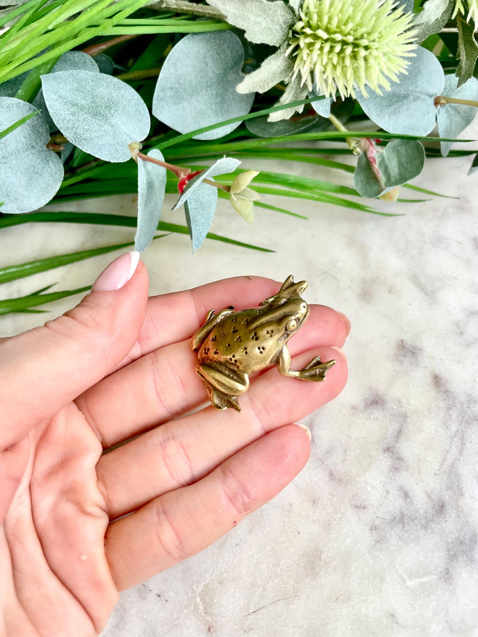 Fine Solid Brass Happy Frog figurine, Big Frog Statue, Small Paperweight, Cute collectible figurine, Frog plant Accessory