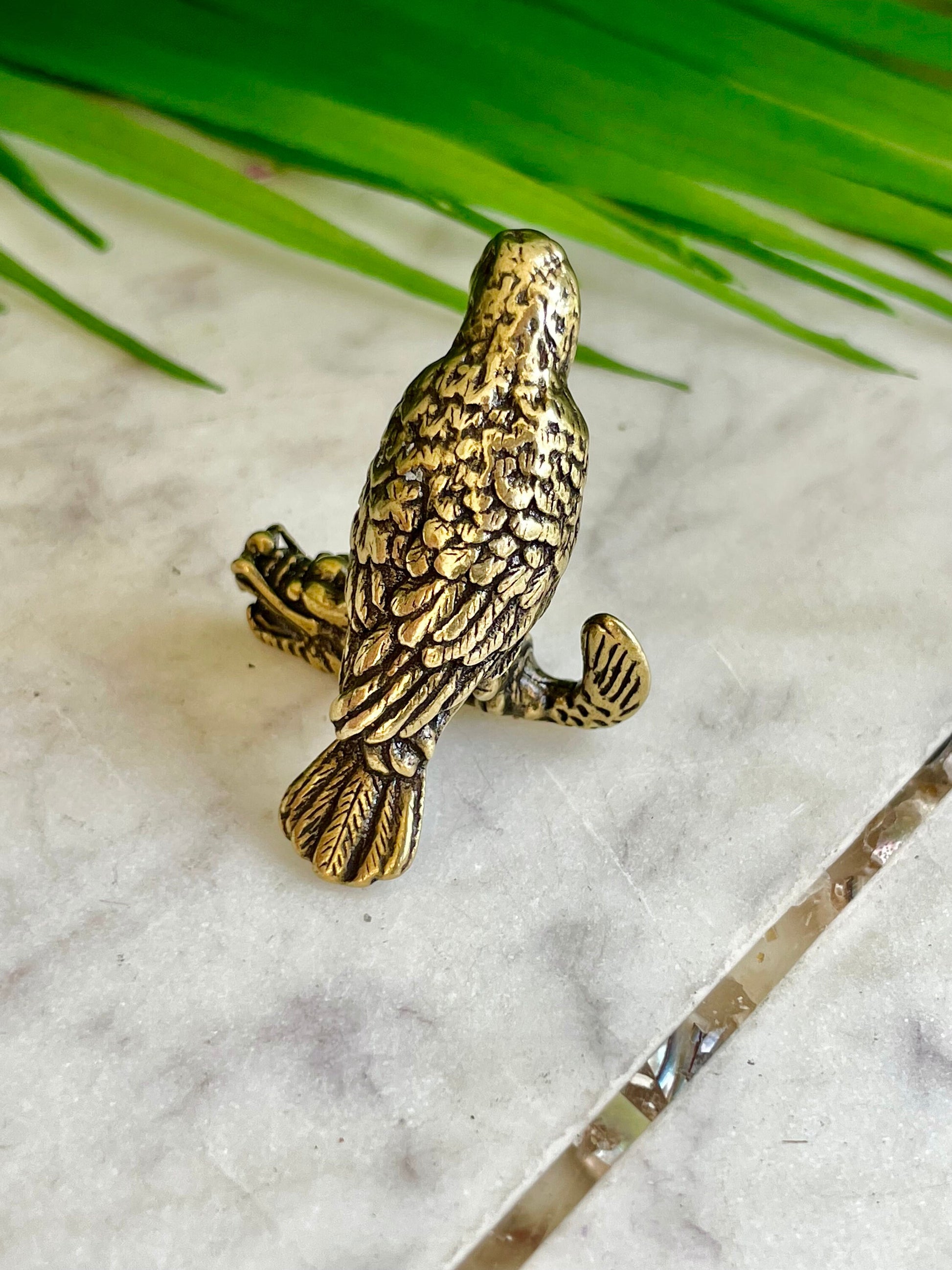 Congo African grey parrot figurine, lifelike fine solid brass Jaco sculpture, Conure Parrot decor, gift for bird lovers