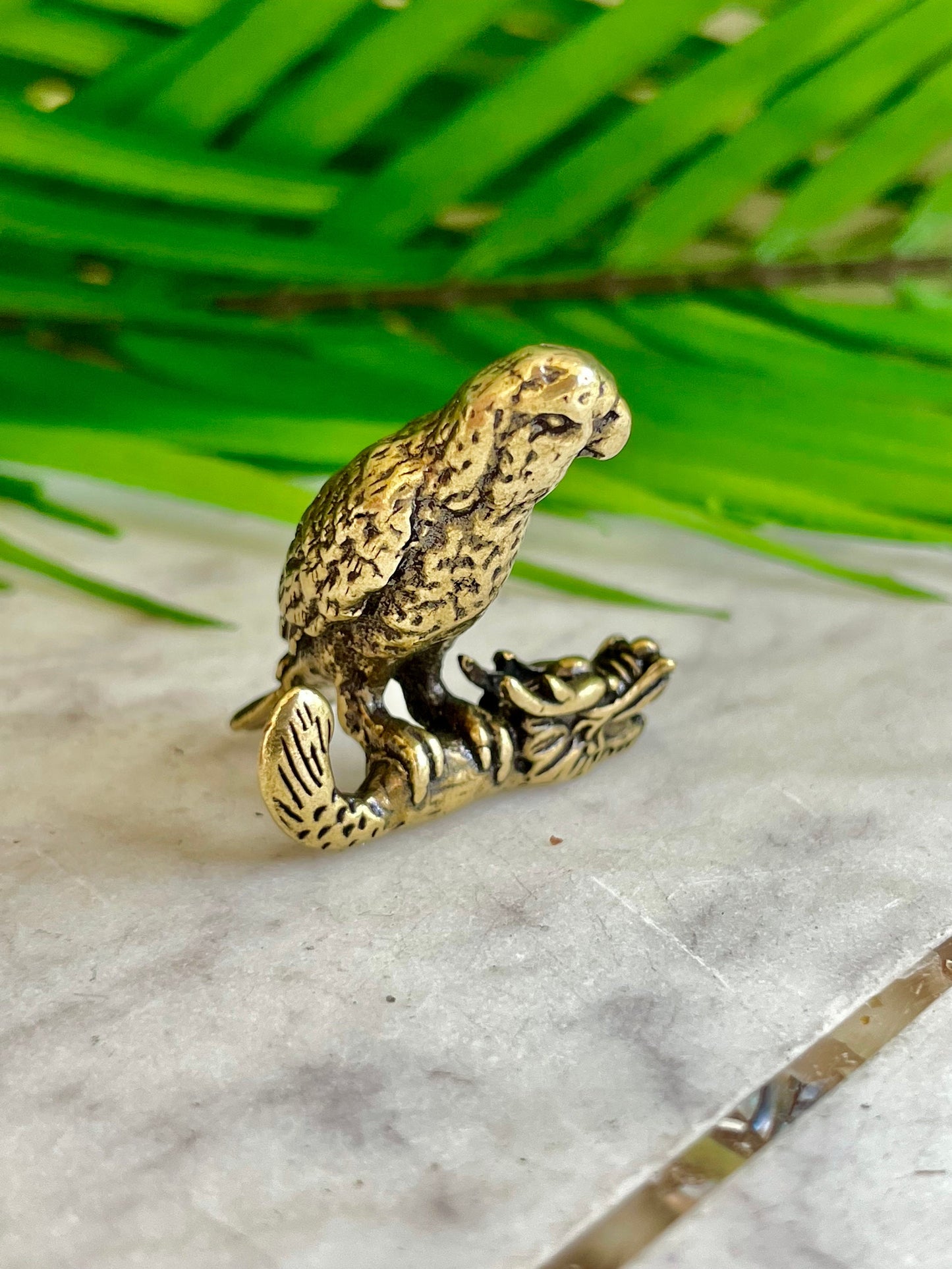 Congo African grey parrot figurine, lifelike fine solid brass Jaco sculpture, Conure Parrot decor, gift for bird lovers