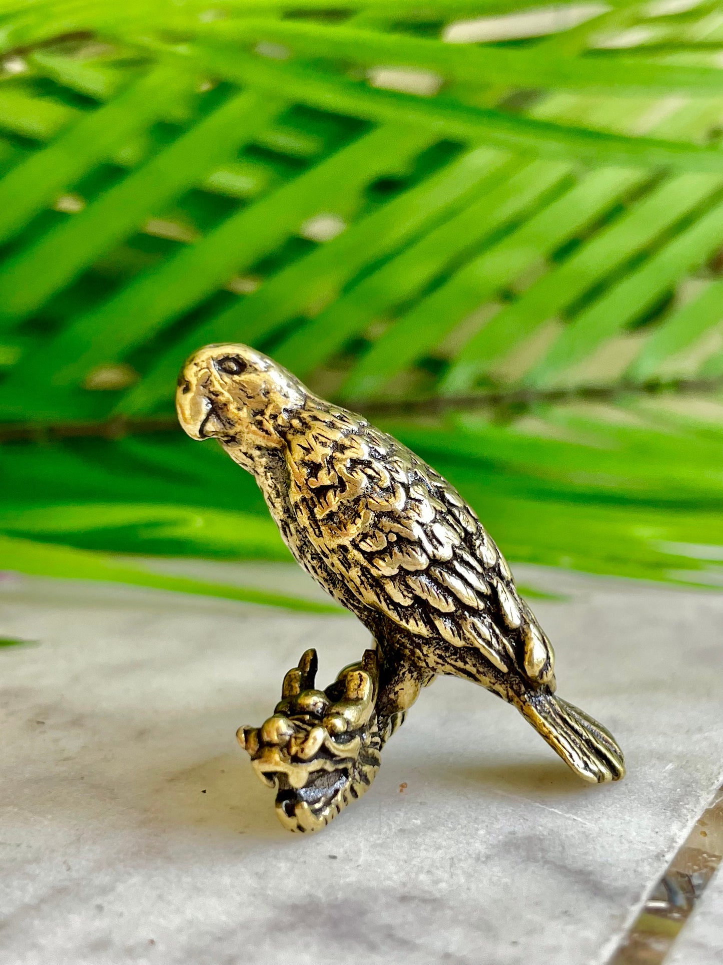 Congo African grey parrot figurine, lifelike fine solid brass Jaco sculpture, Conure Parrot decor, gift for bird lovers