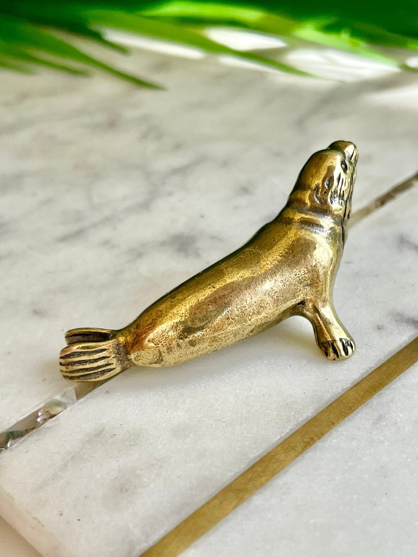 Lifelike fine Sea lion miniature, solid brass figurine, sea creature sculpture, pinnipeds miniature, cute seal