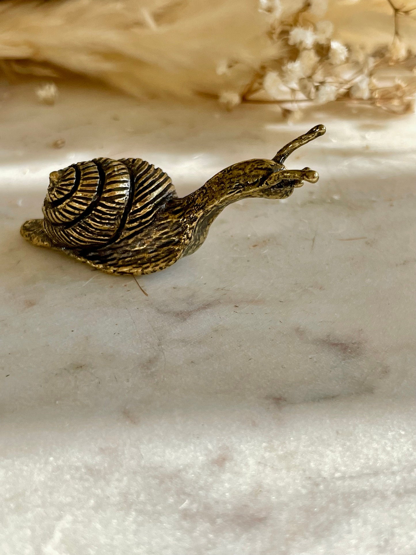 Solid brass Happy Garden Snail Miniature, Metal Snail figurine, lifelike solid brass shelled gastropod ornament