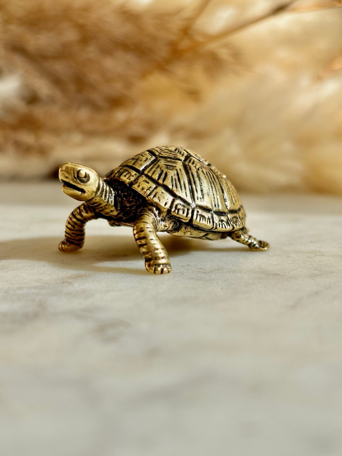 Brass tortoise figurine, solid brass casting, traditional style statuette, reptile figurine, creative paperweight, brass plant decor, cute g