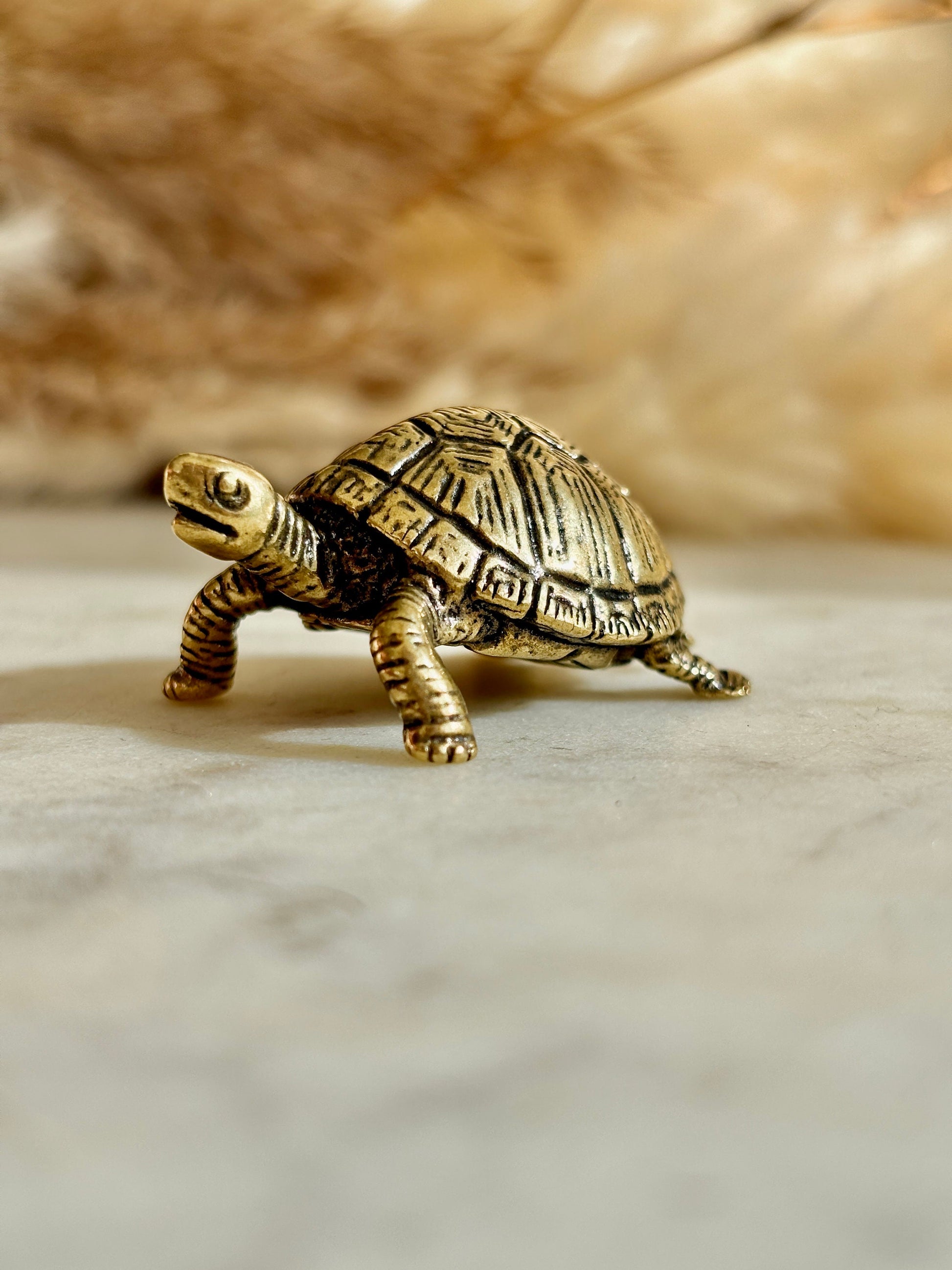 Brass tortoise figurine, solid brass casting, traditional style statuette, reptile figurine, creative paperweight, brass plant decor, cute g