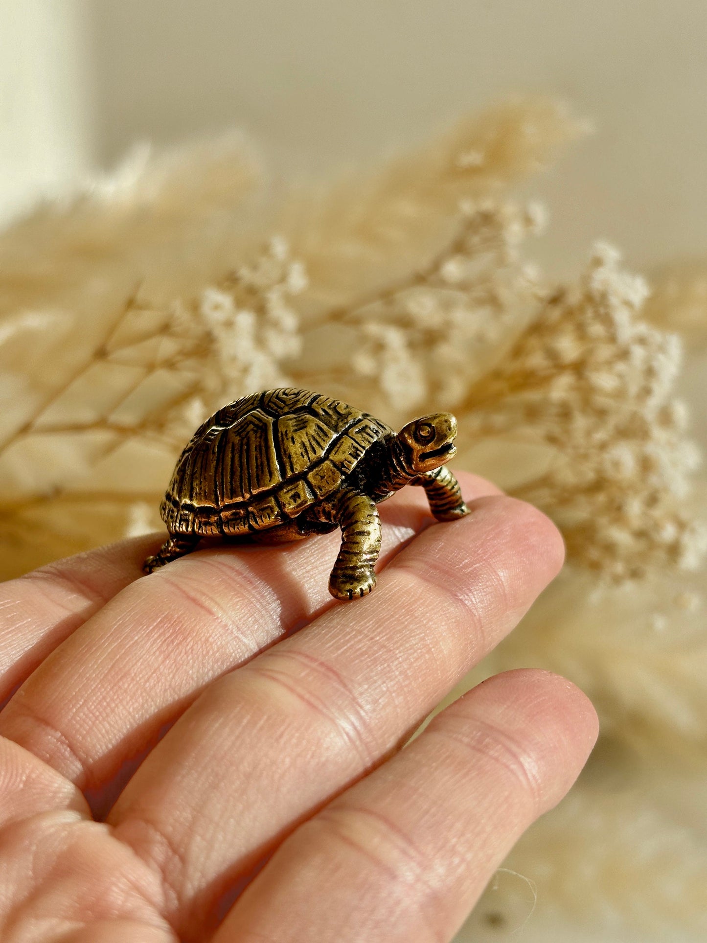 Brass tortoise figurine, solid brass casting, traditional style statuette, reptile figurine, creative paperweight, brass plant decor, cute g