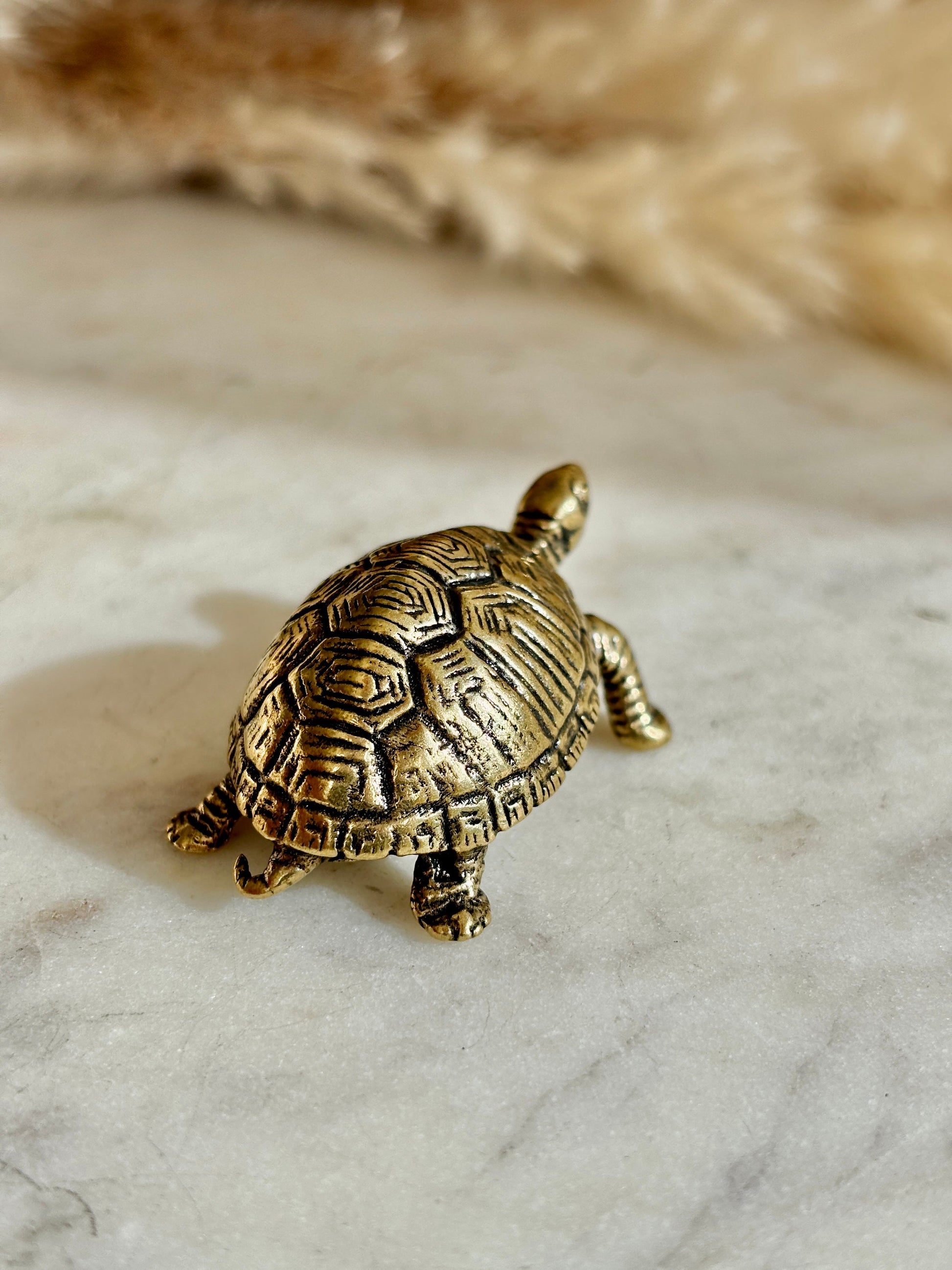 Brass tortoise figurine, solid brass casting, traditional style statuette, reptile figurine, creative paperweight, brass plant decor, cute g