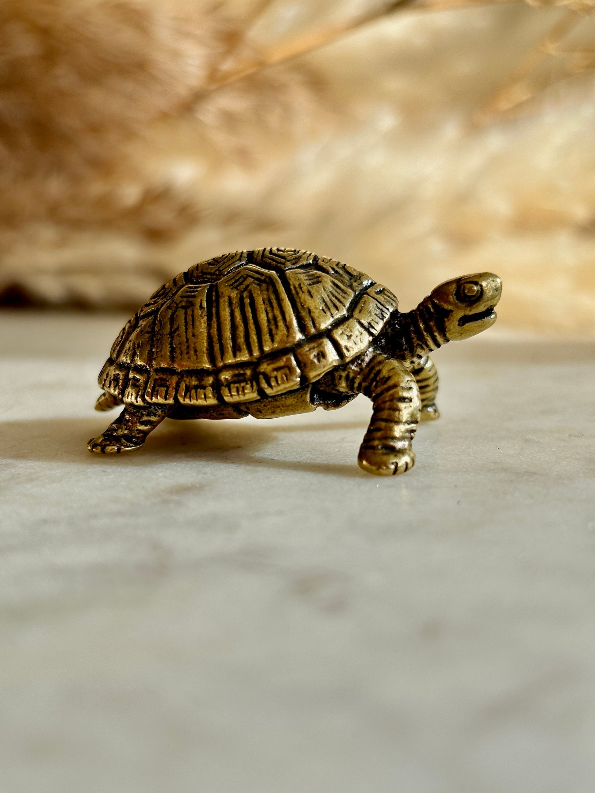 Brass tortoise figurine, solid brass casting, traditional style statuette, reptile figurine, creative paperweight, brass plant decor, cute g