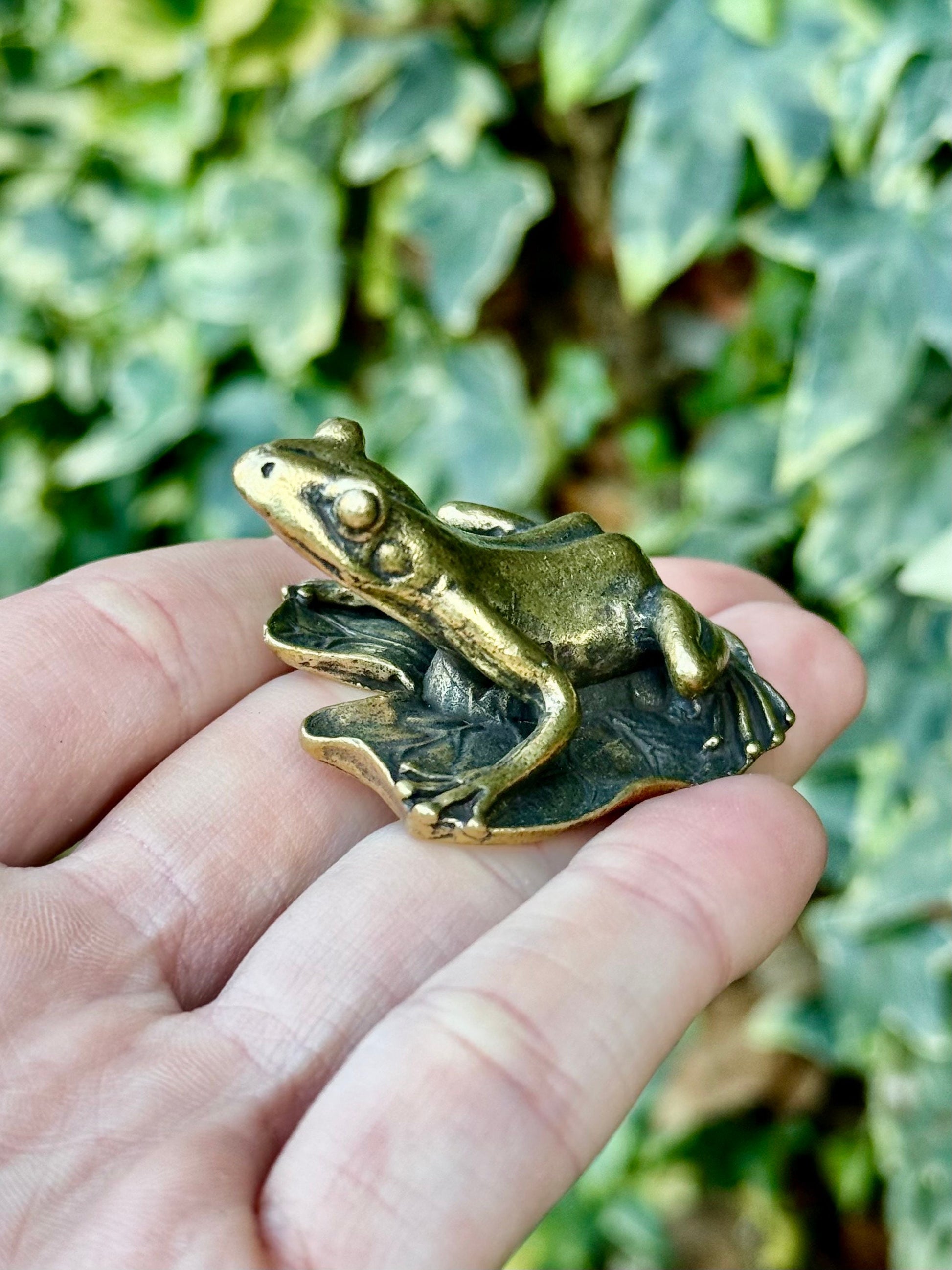 Big Lifelike Solid Brass Frog on a leaf figurine, Realistic Frog Statue, Small Paperweight, Cute collectible figurine, Desk Accessory