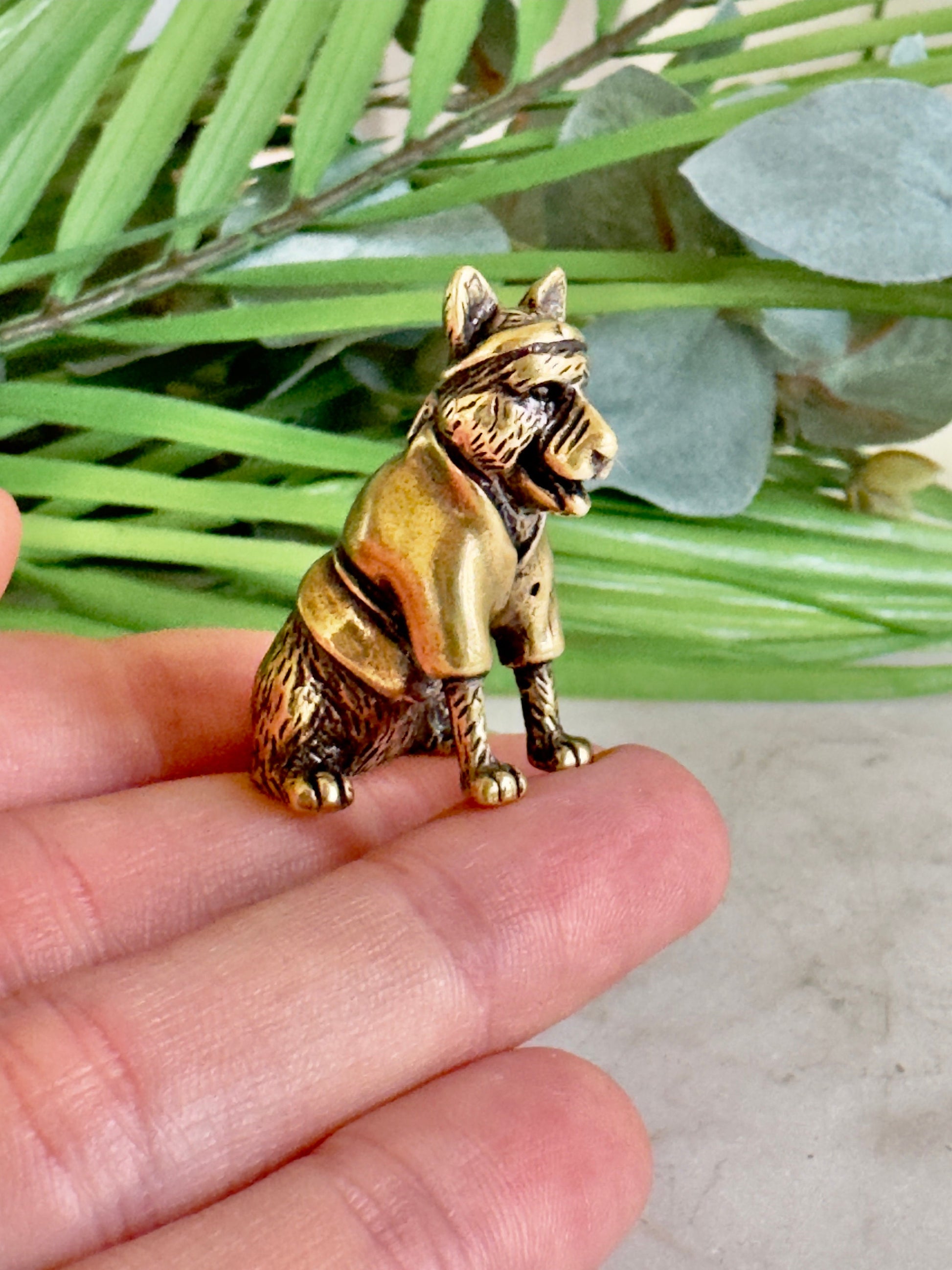 Karate dog figurine, Solid brass Akita figurine, Husky statuette, great gift for martial art lovers, Desktop decoration, judo friend