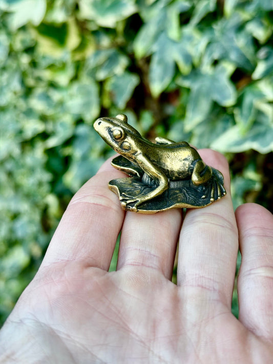 Big Lifelike Solid Brass Frog on a leaf figurine, Realistic Frog Statue, Small Paperweight, Cute collectible figurine, Desk Accessory
