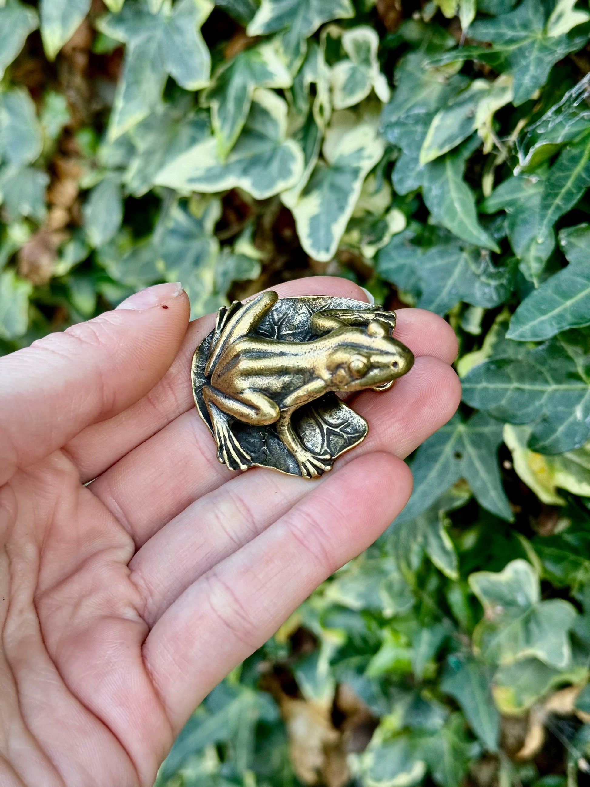Big Lifelike Solid Brass Frog on a leaf figurine, Realistic Frog Statue, Small Paperweight, Cute collectible figurine, Desk Accessory