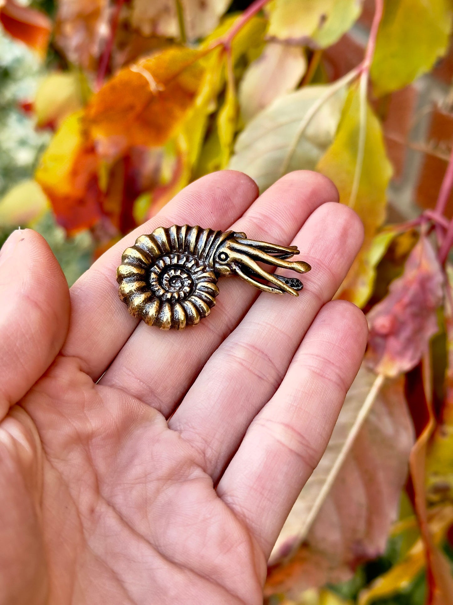 Lifelike Nautilidae Brass Ornament, Realistic Sea World Creature, Beautiful gift for Ocean lover, ancient pelagic marine mollusc Figurine