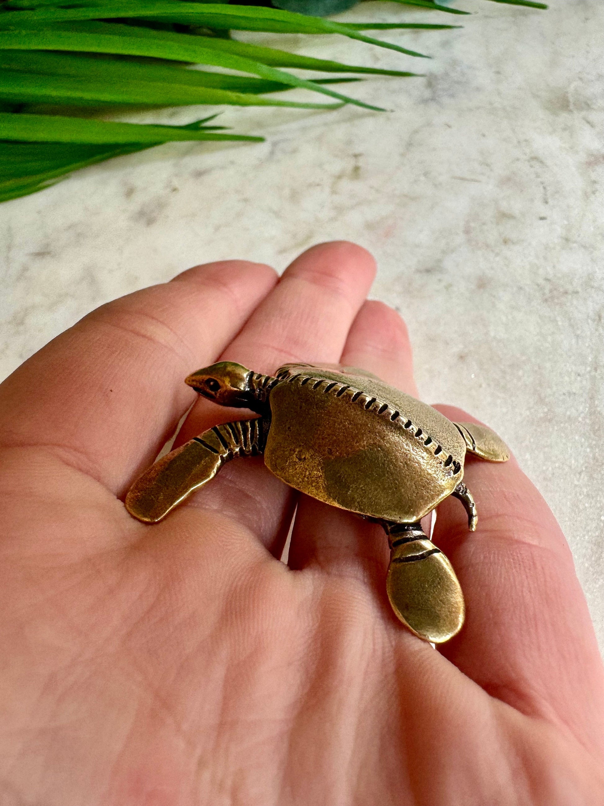 Lifelike leather sea turtle, Solid Brass turtle Statue, Lifelike Decoration, Paperweight, Pen Holder, Brush Holder, Novelty Gift