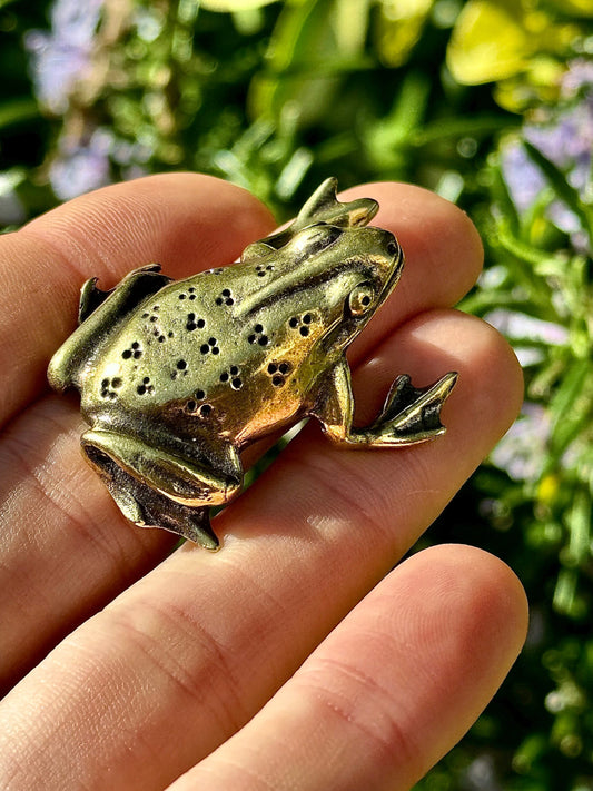 Fine Solid Brass Happy Frog figurine, Big Frog Statue, Small Paperweight, Cute collectible figurine, Frog plant Accessory