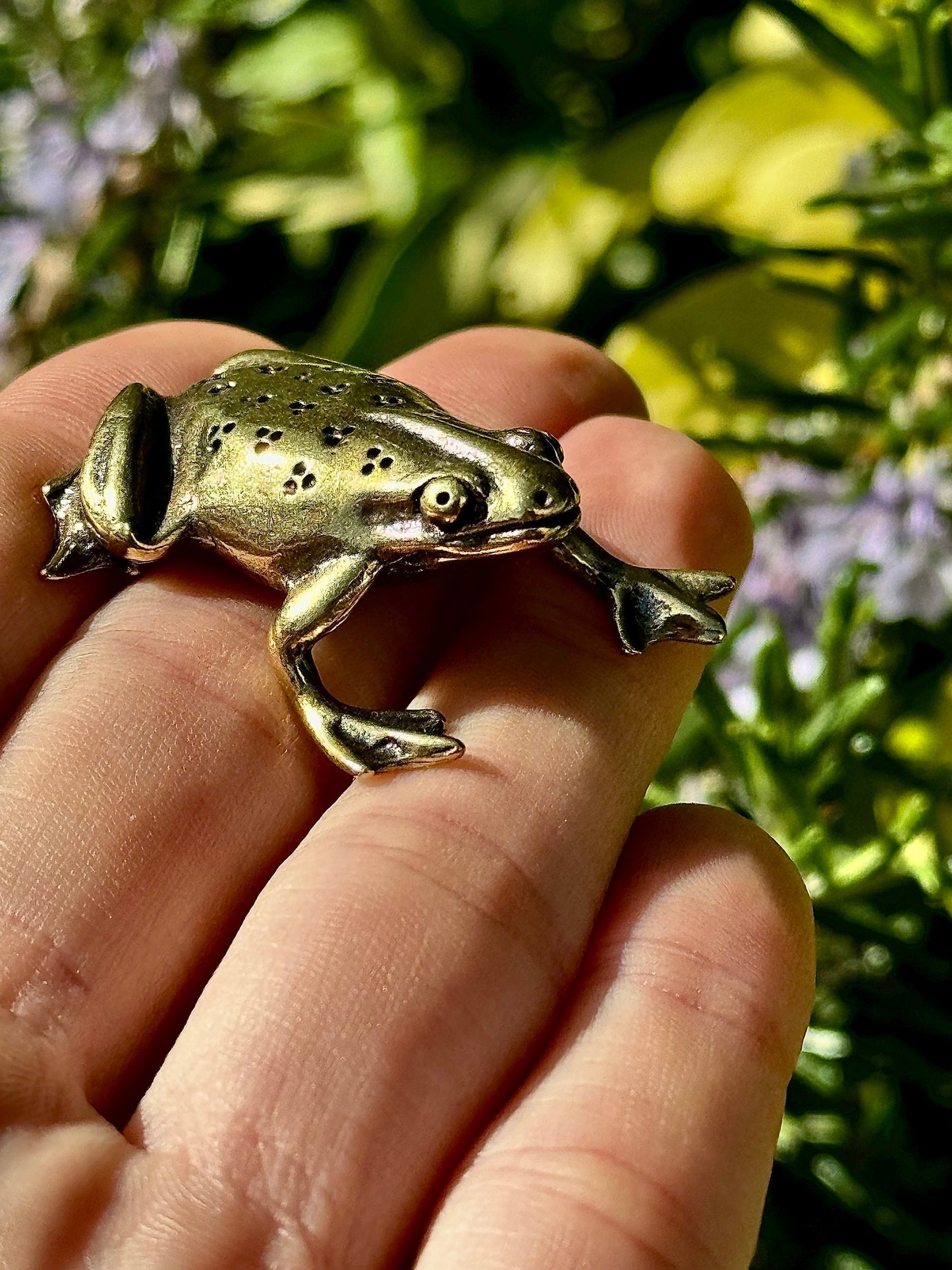 Fine Solid Brass Happy Frog figurine, Big Frog Statue, Small Paperweight, Cute collectible figurine, Frog plant Accessory